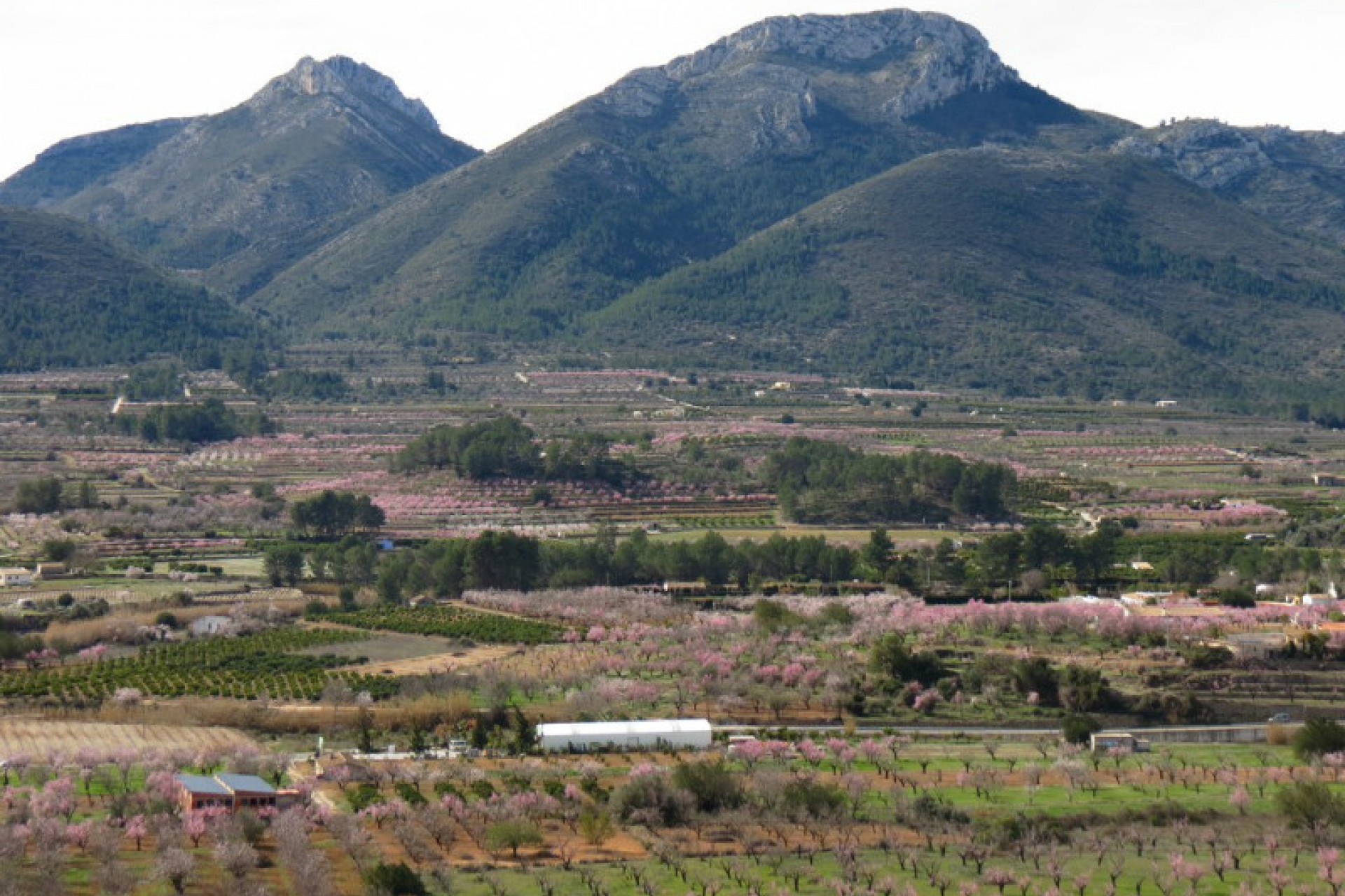 Sale - Townhouse -
Jalon