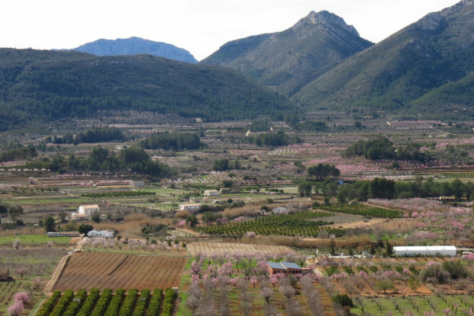 Sale - Townhouse -
Jalon