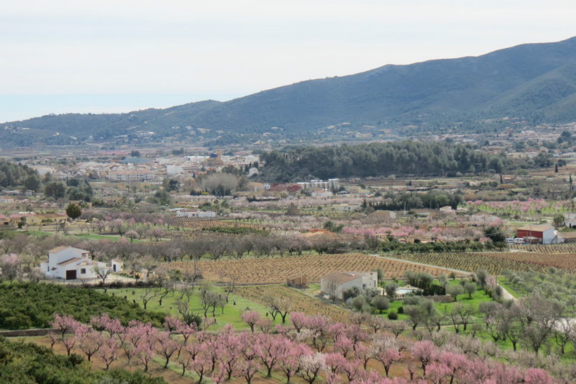 Sale - Townhouse -
Jalon