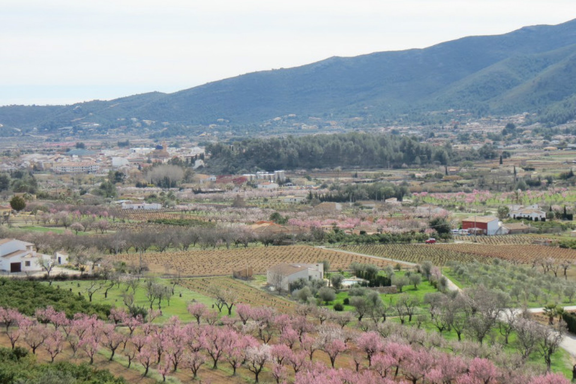 Sale - Townhouse -
Jalon