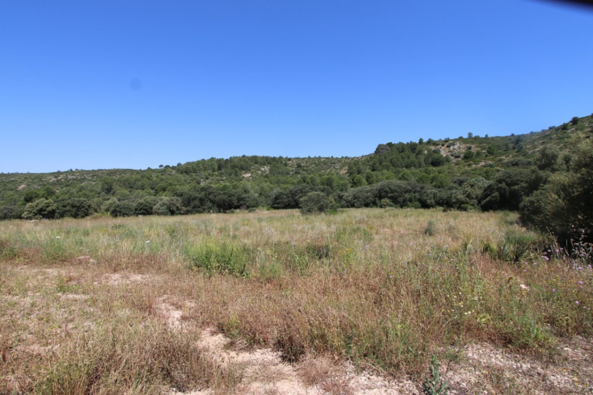 Sale - Villa -
Alcalali