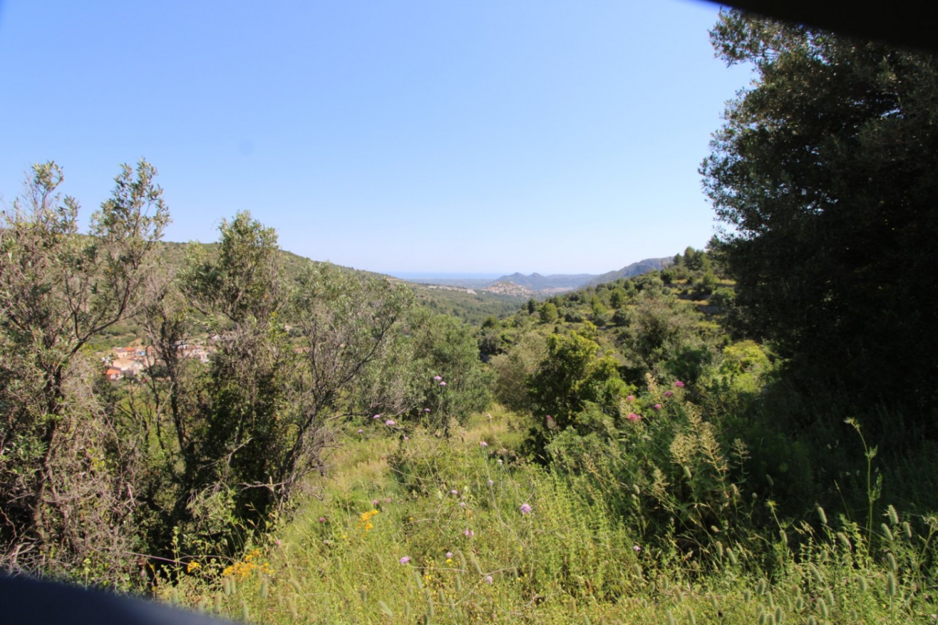 Sale - Villa -
Alcalali