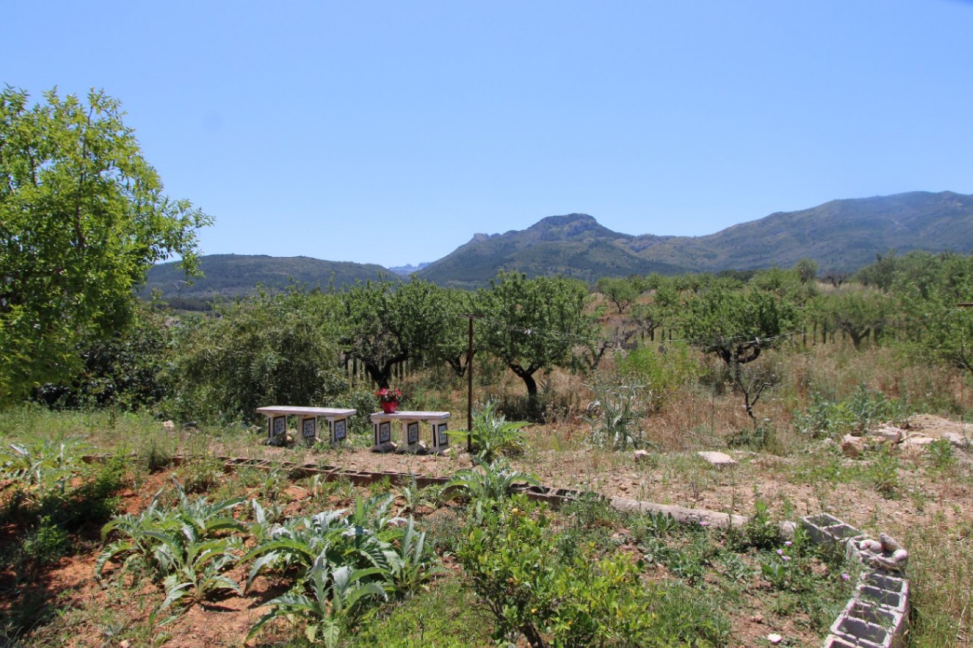 Sale - Villa -
Alcalali