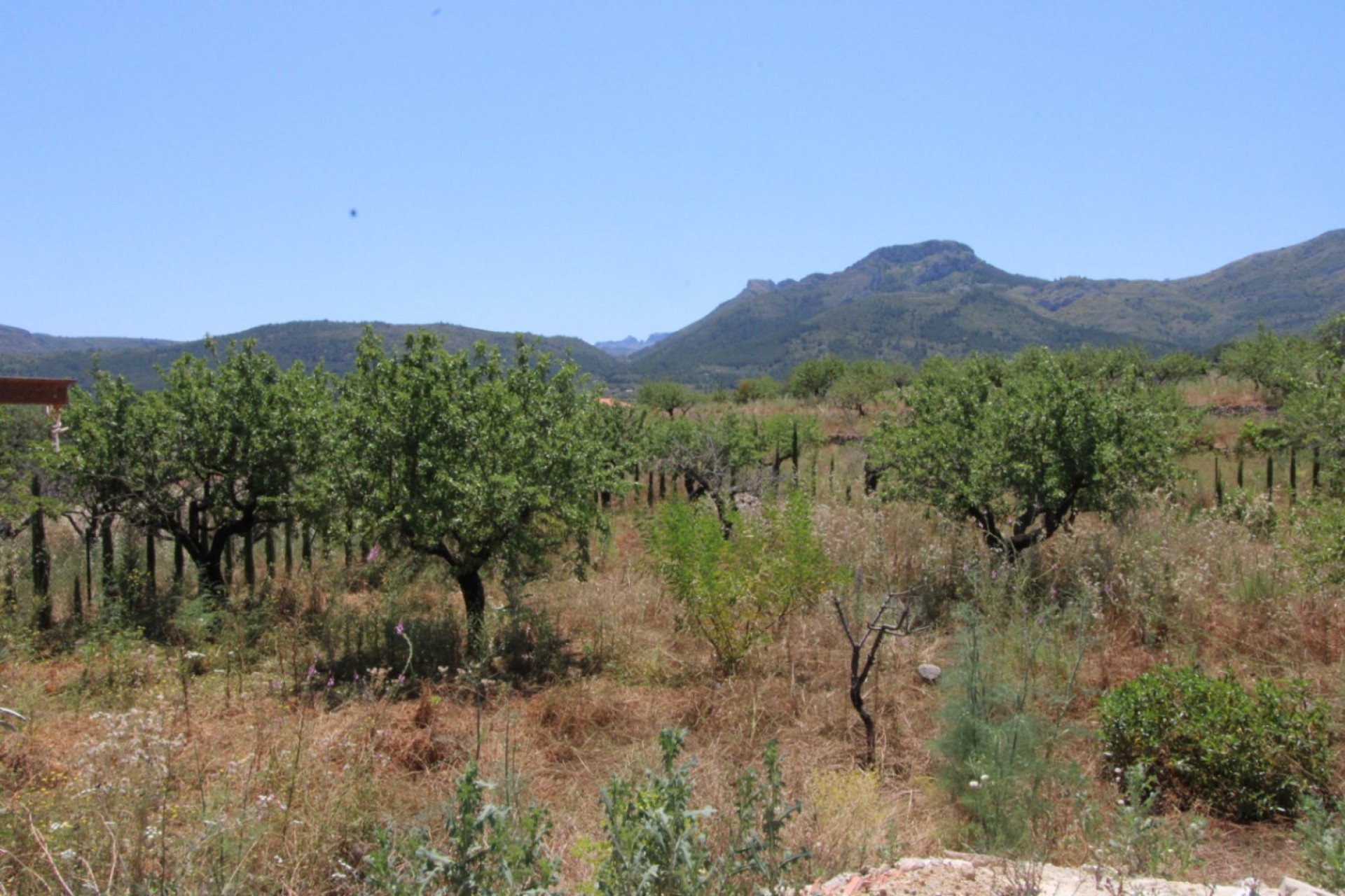 Sale - Villa -
Alcalali