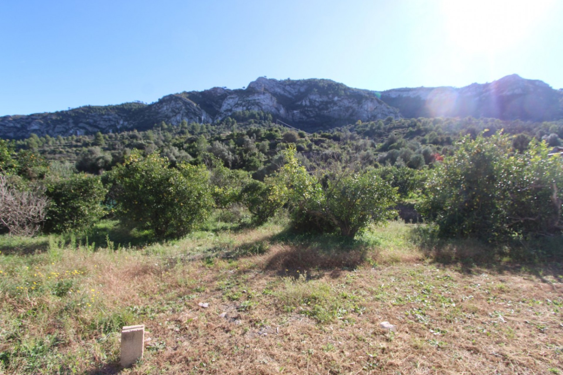 Sale - Villa -
Alcalali