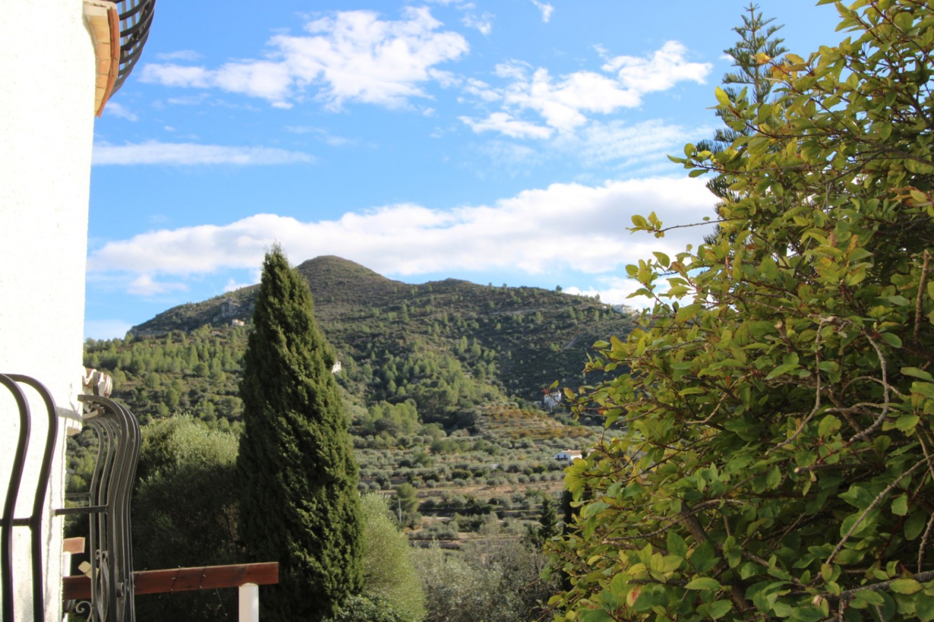 Sale - Villa -
Alcalali