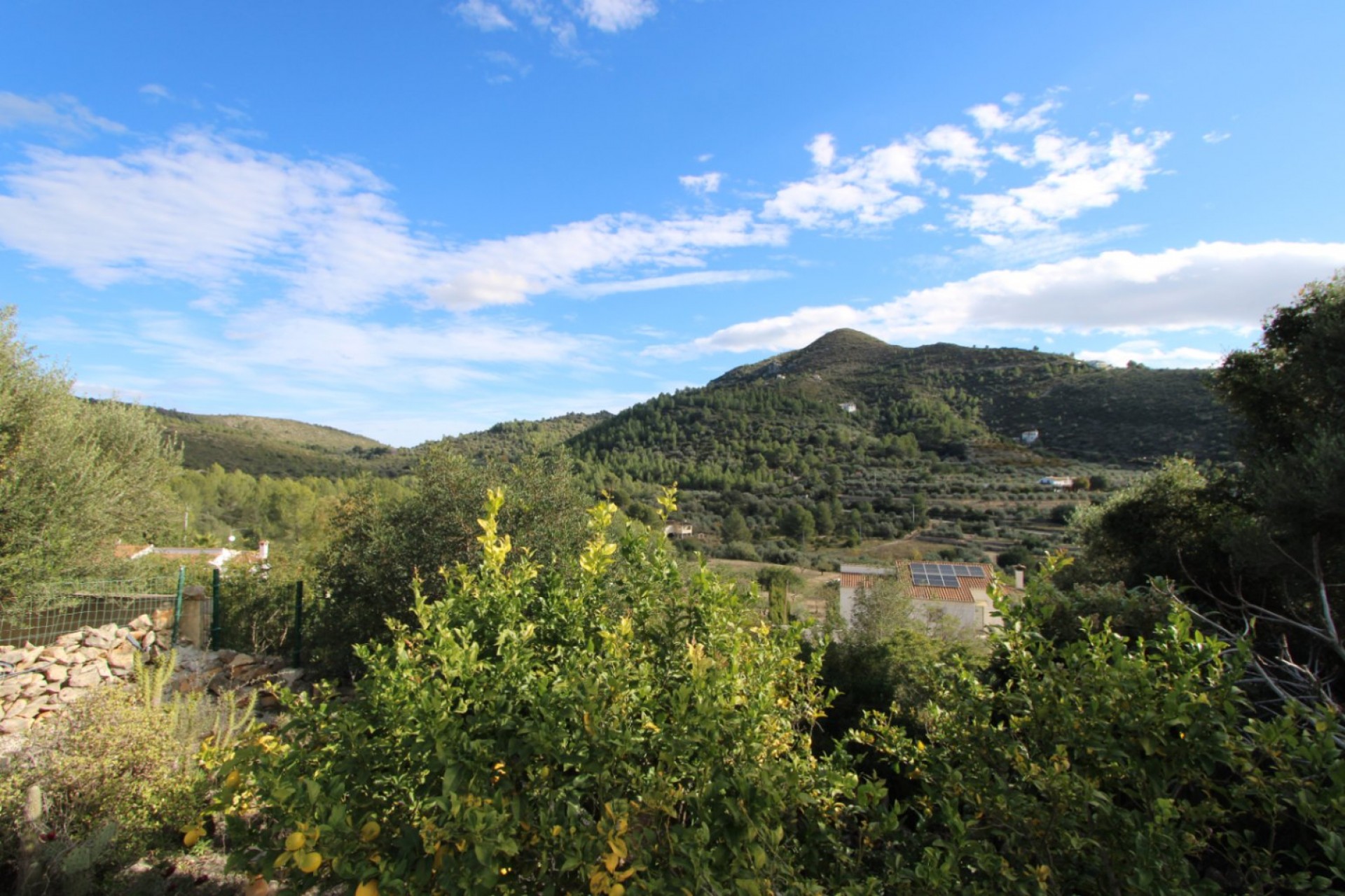 Sale - Villa -
Alcalali