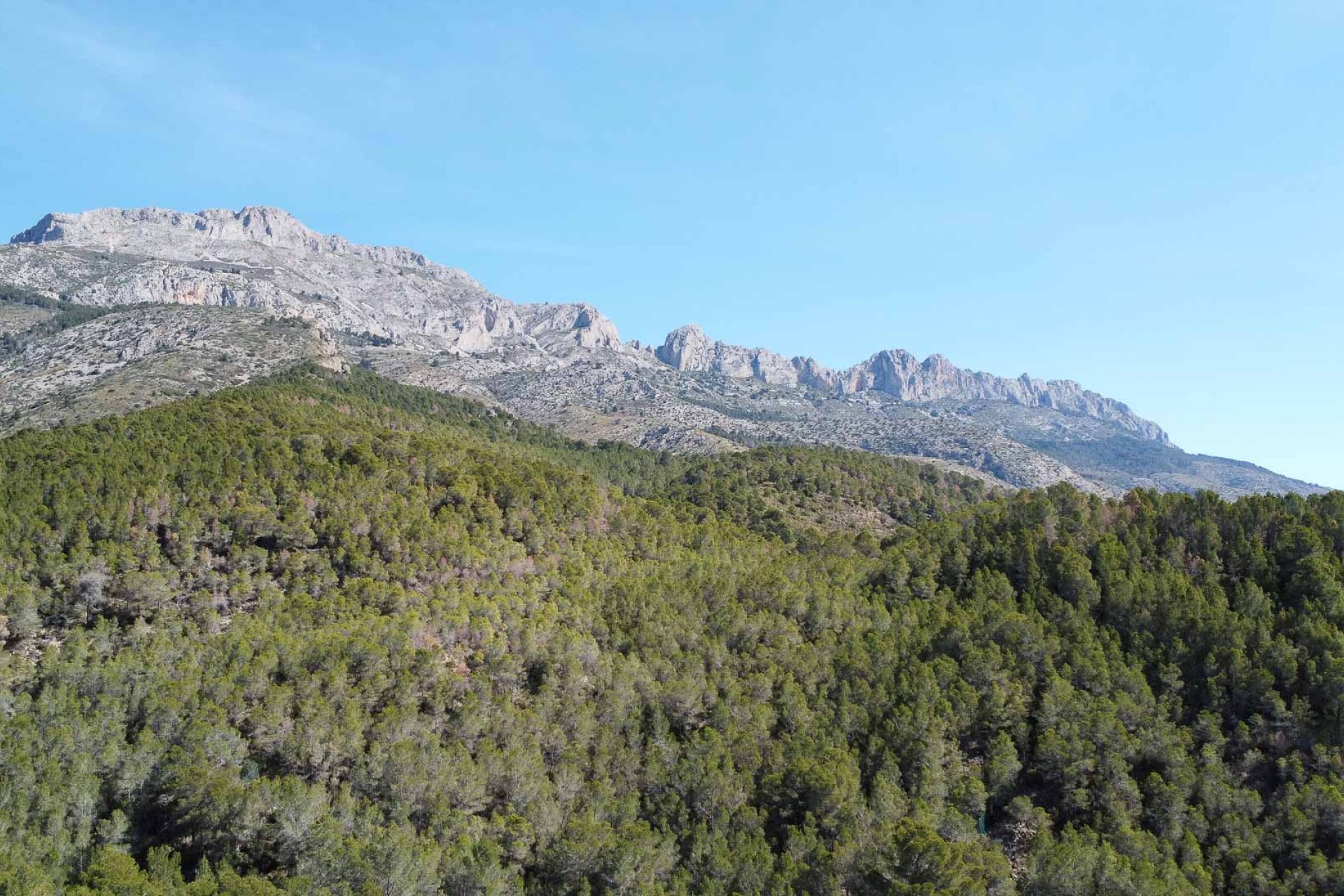 Sale - Villa -
Altea