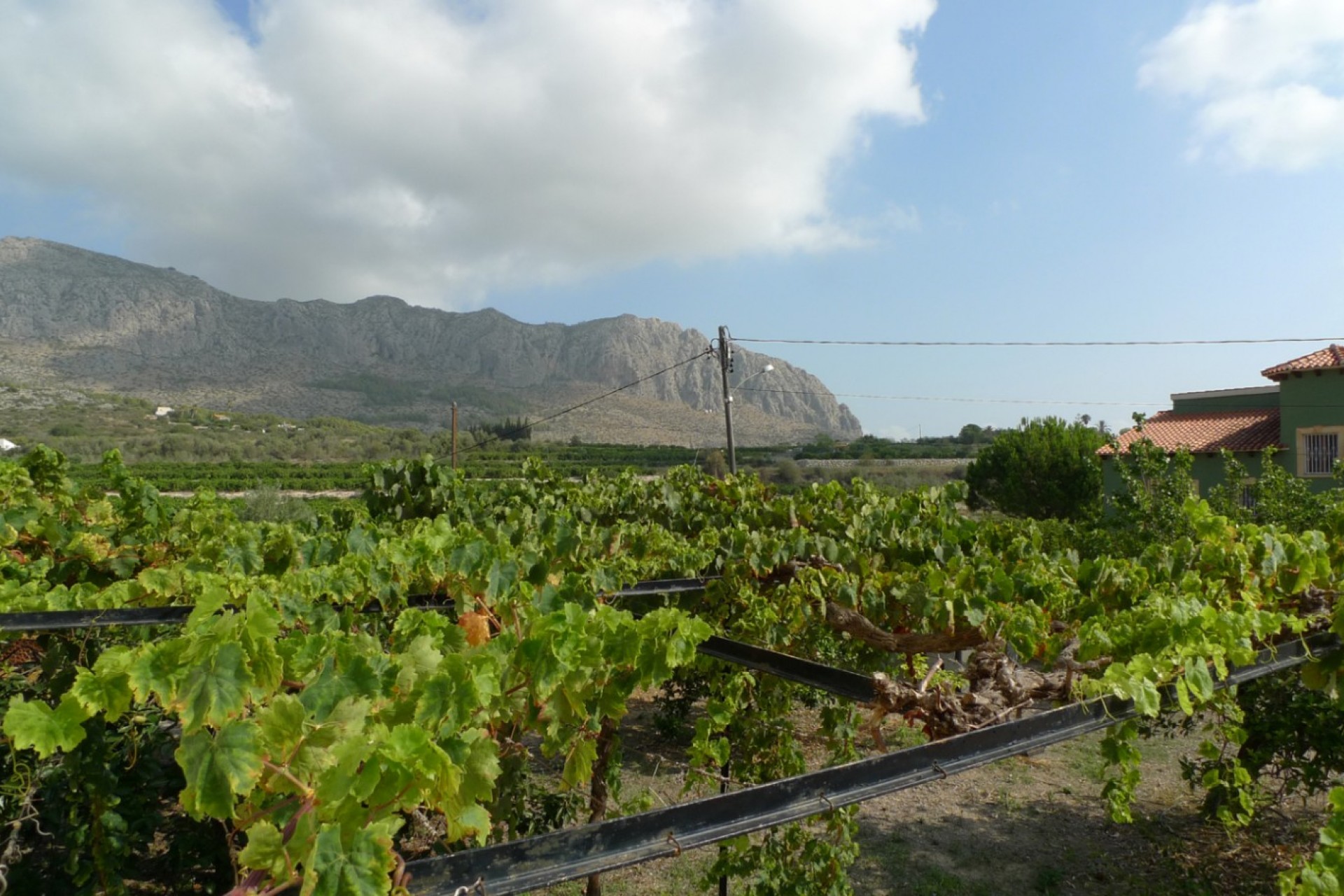 Sale - Villa -
Beniarbeig