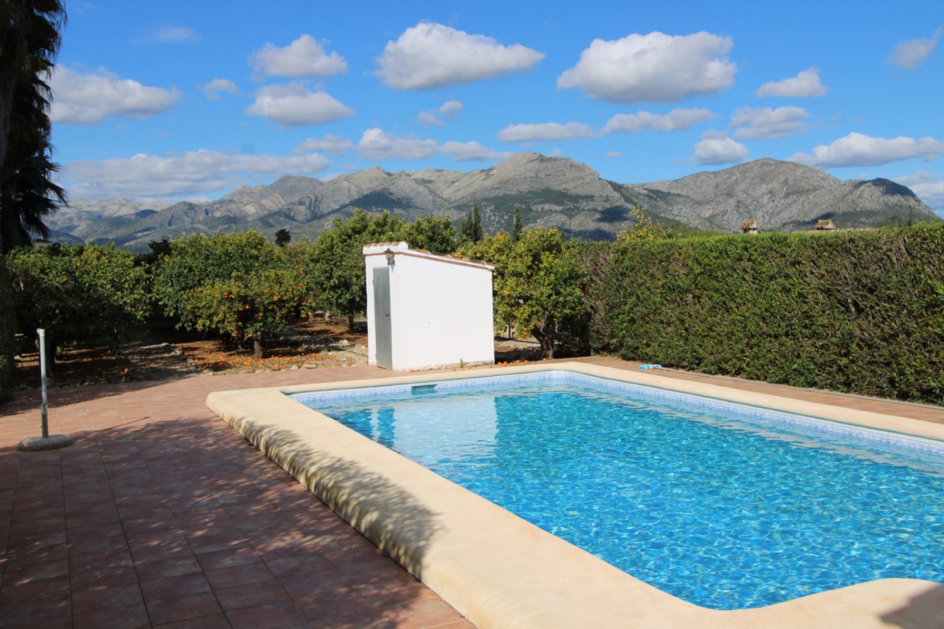 Sale - Villa -
Benidoleig