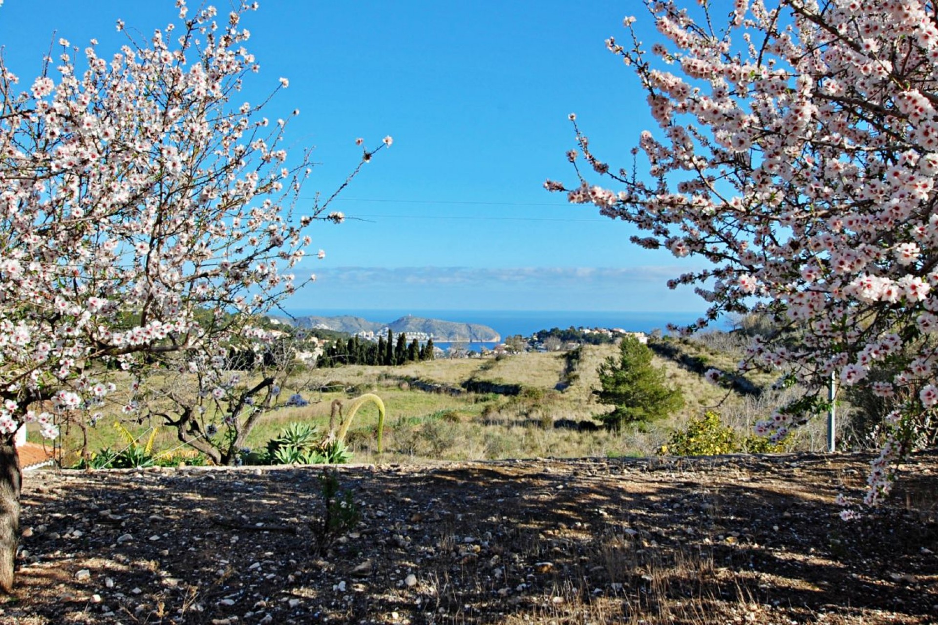 Sale - Villa -
Benissa - Baladrar