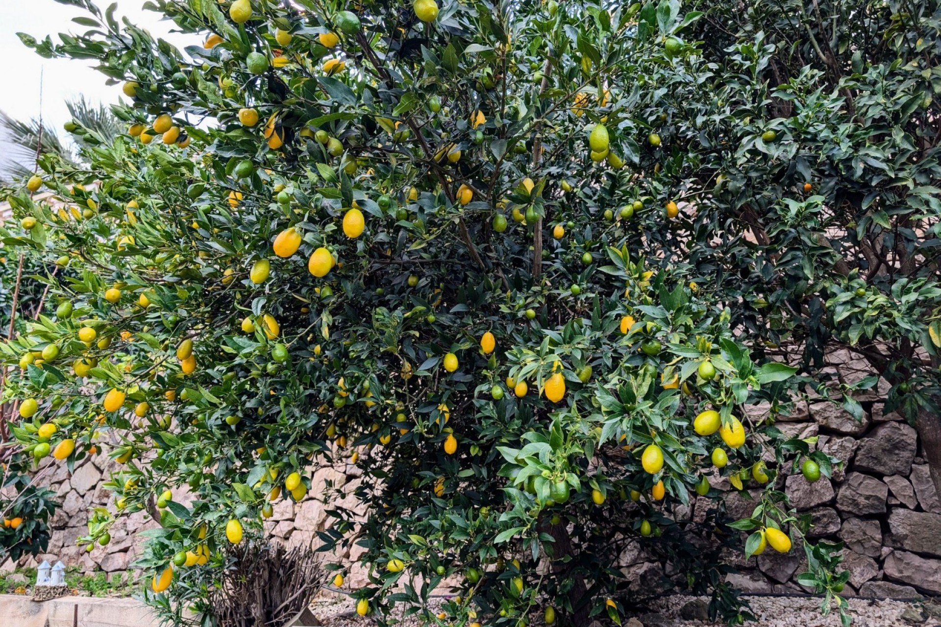 Sale - Villa -
Benissa - Fanadix