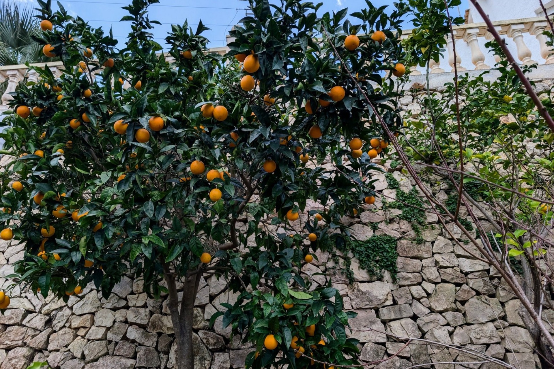 Sale - Villa -
Benissa - Fanadix