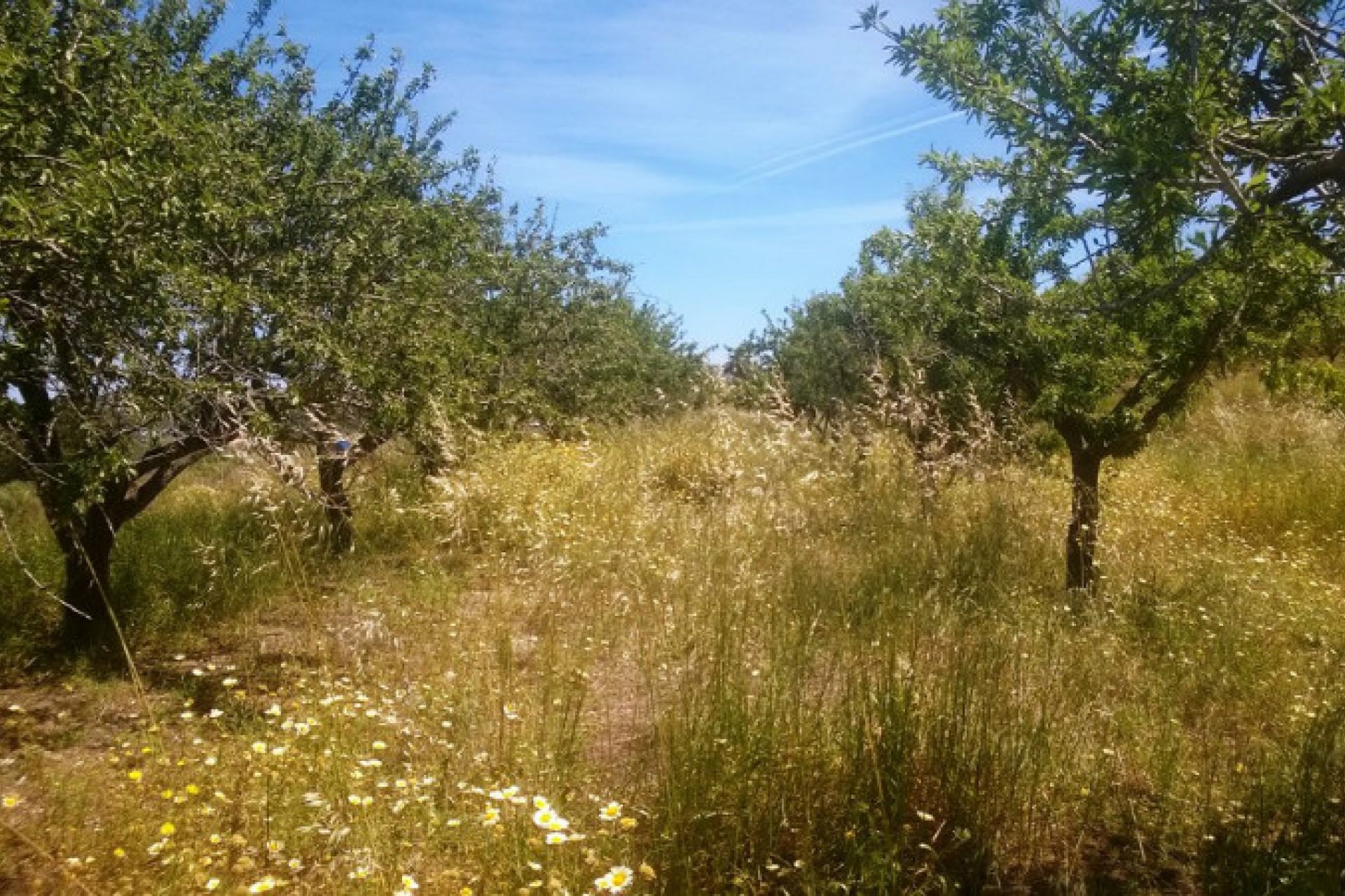 Sale - Villa -
Benissa