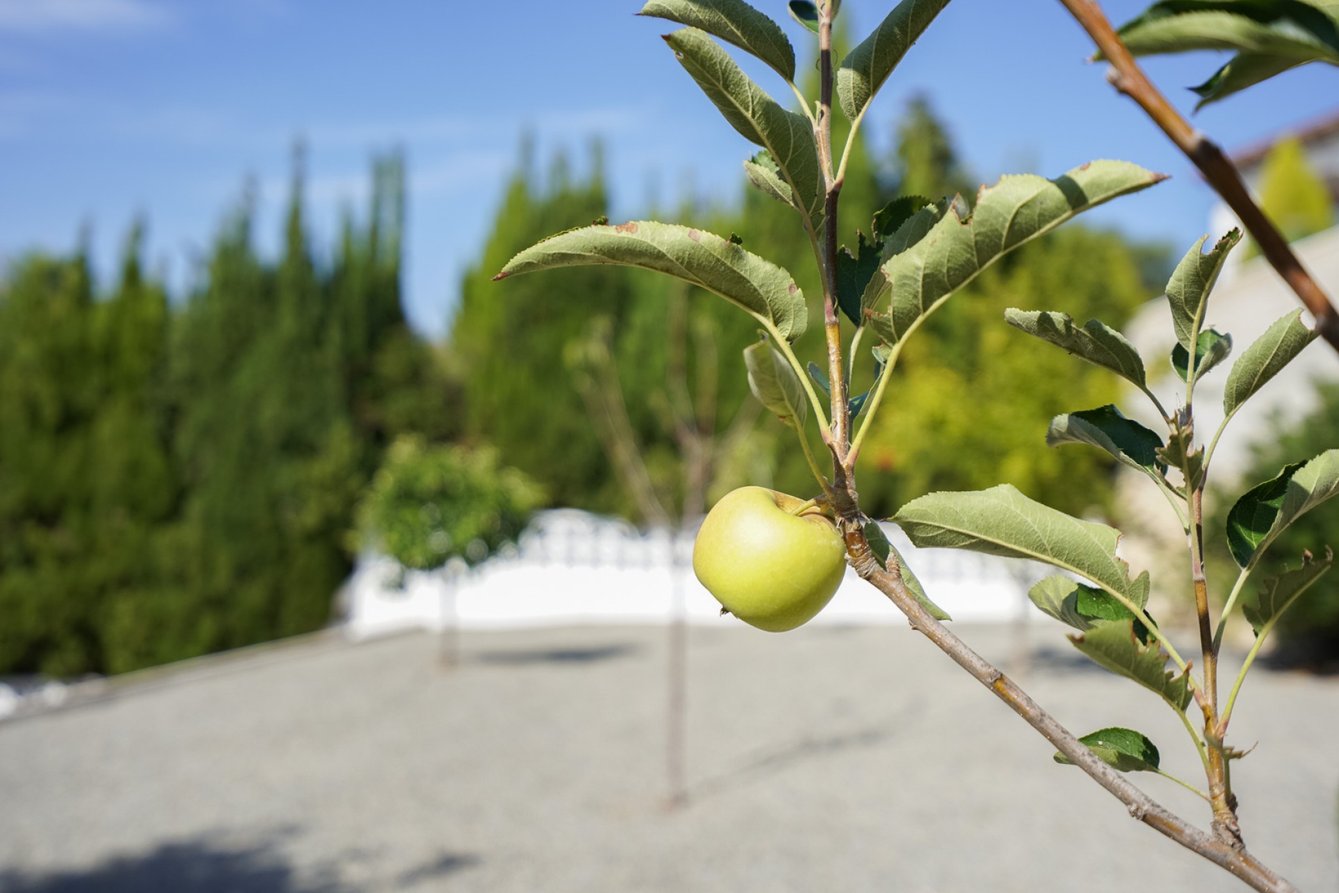 Sale - Villa -
Benissa