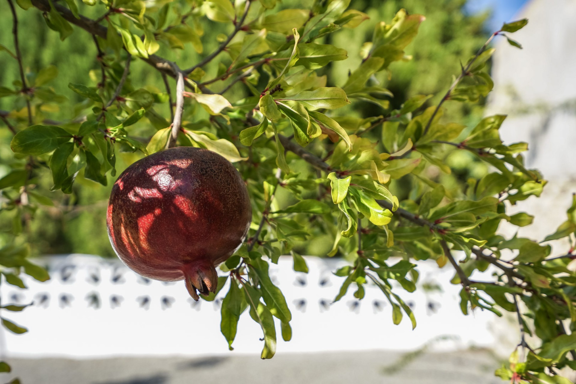 Sale - Villa -
Benissa