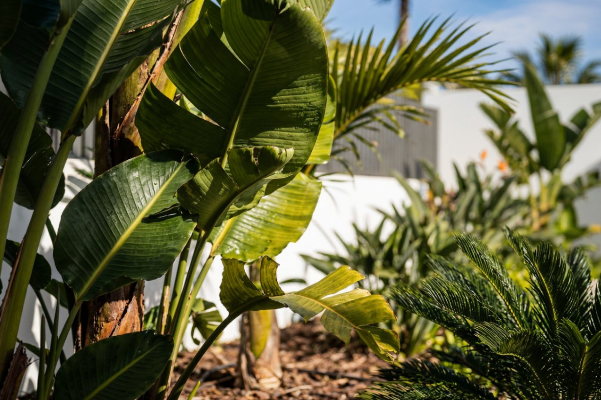 Sale - Villa -
Calpe - Empedrola