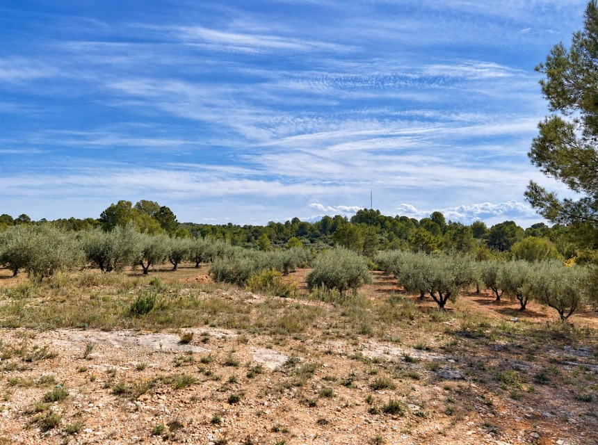 Sale - Villa -
Cuatretonda