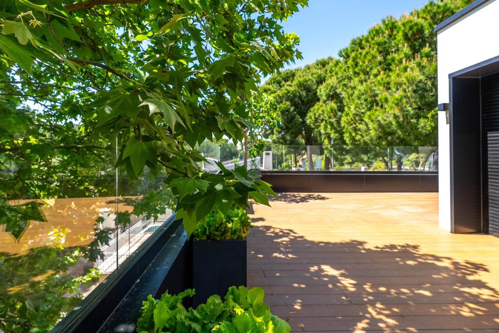 Sale - Villa de Lujo -
Pozuelo de Alarcon - La Cabaña