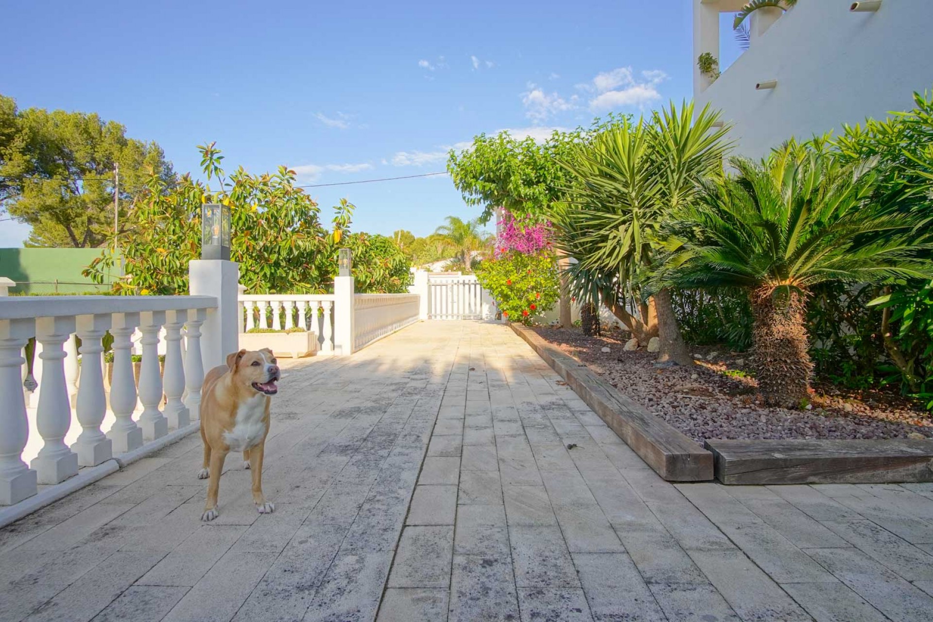 Sale - Villa -
Denia