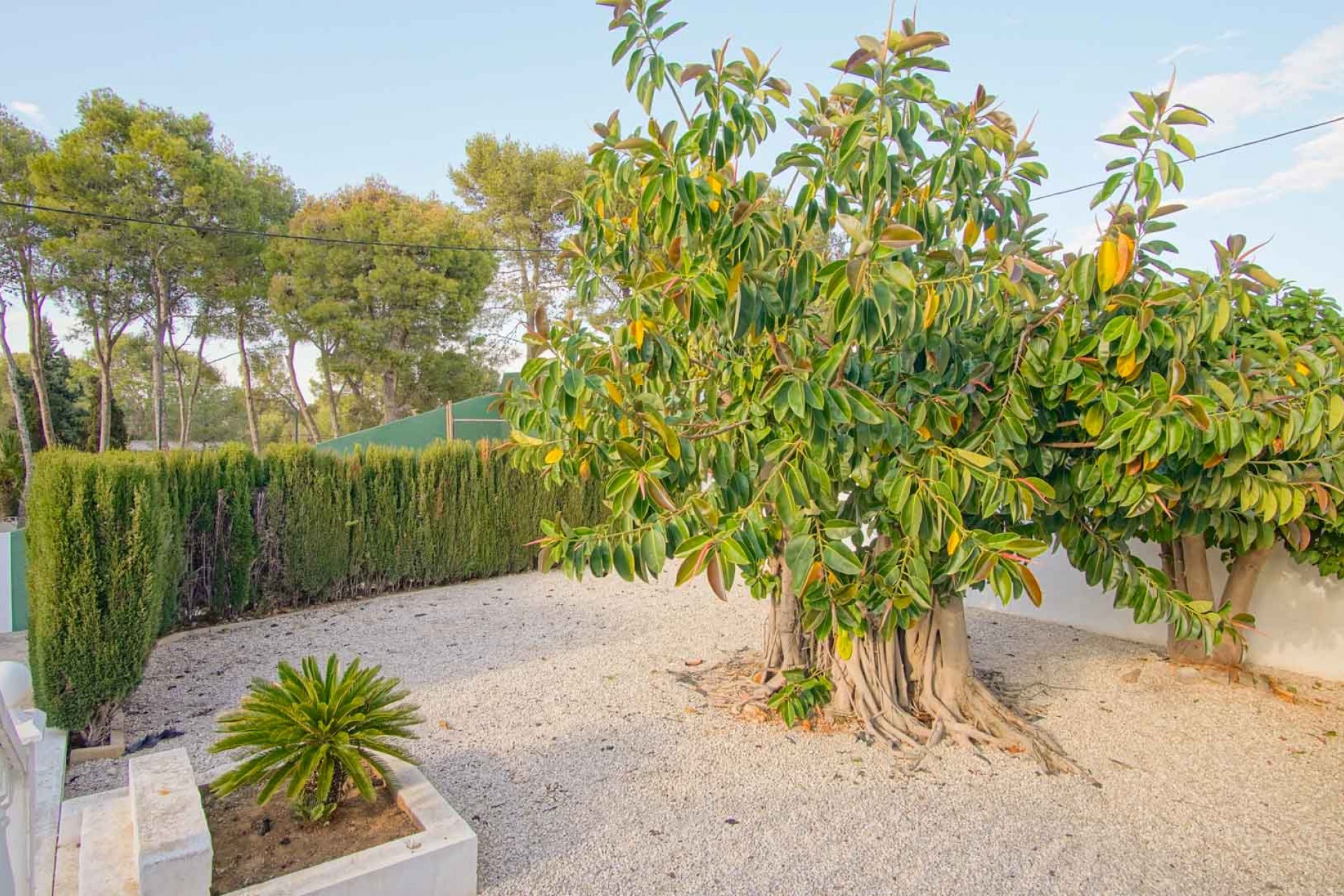 Sale - Villa -
Denia