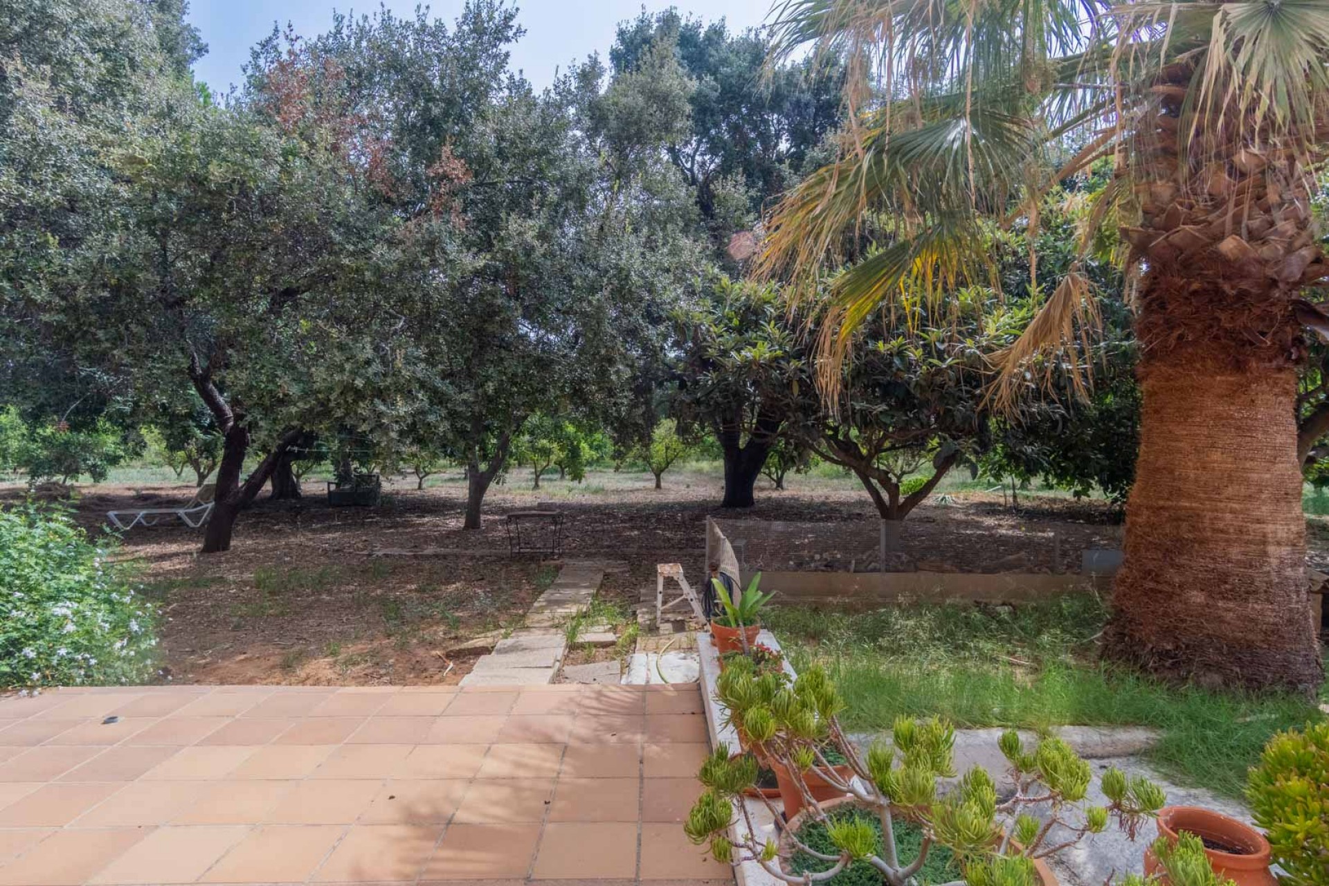Sale - Villa -
Denia