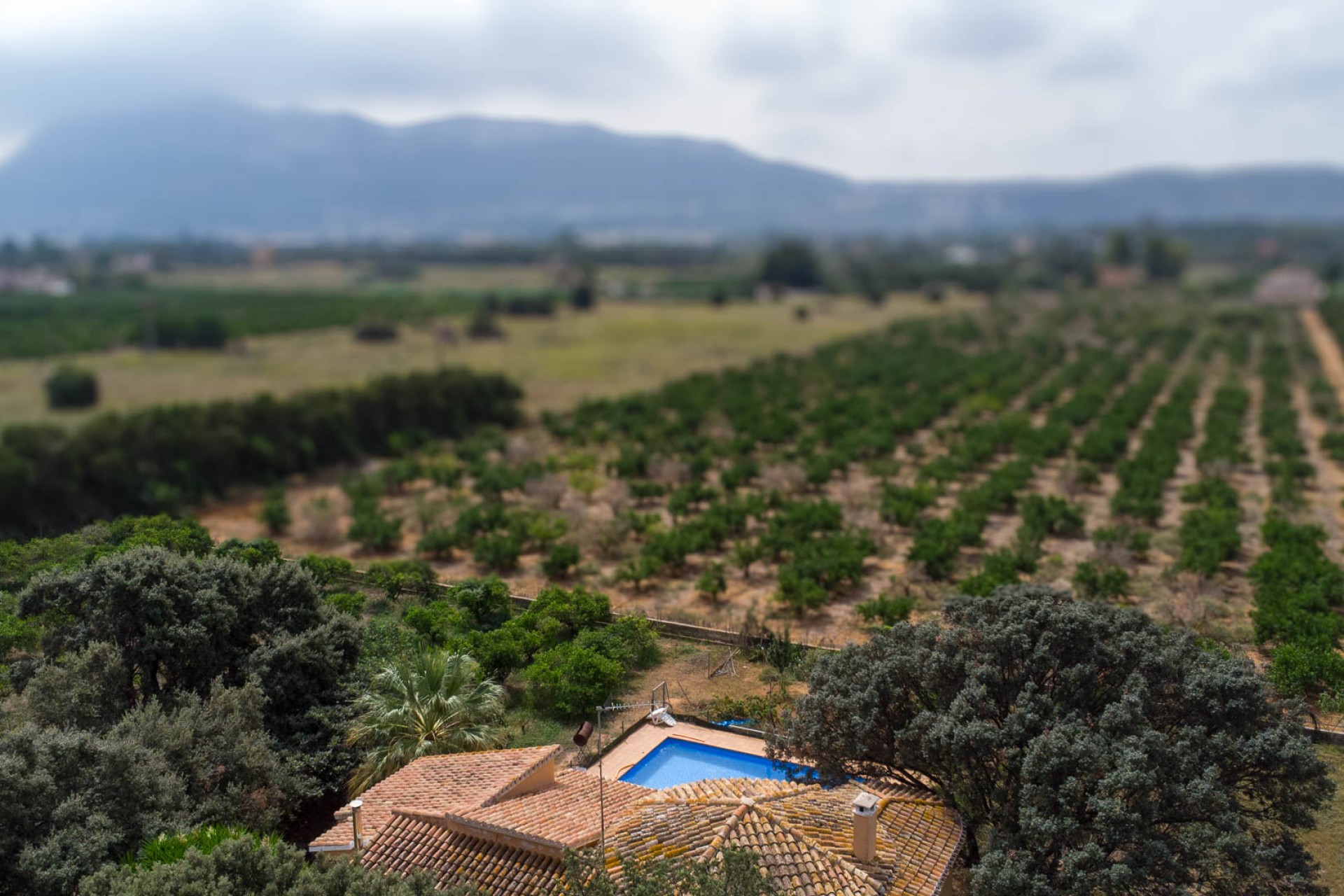 Sale - Villa -
Denia