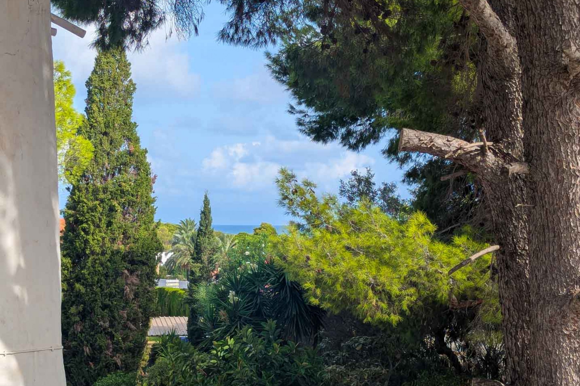 Sale - Villa -
Denia