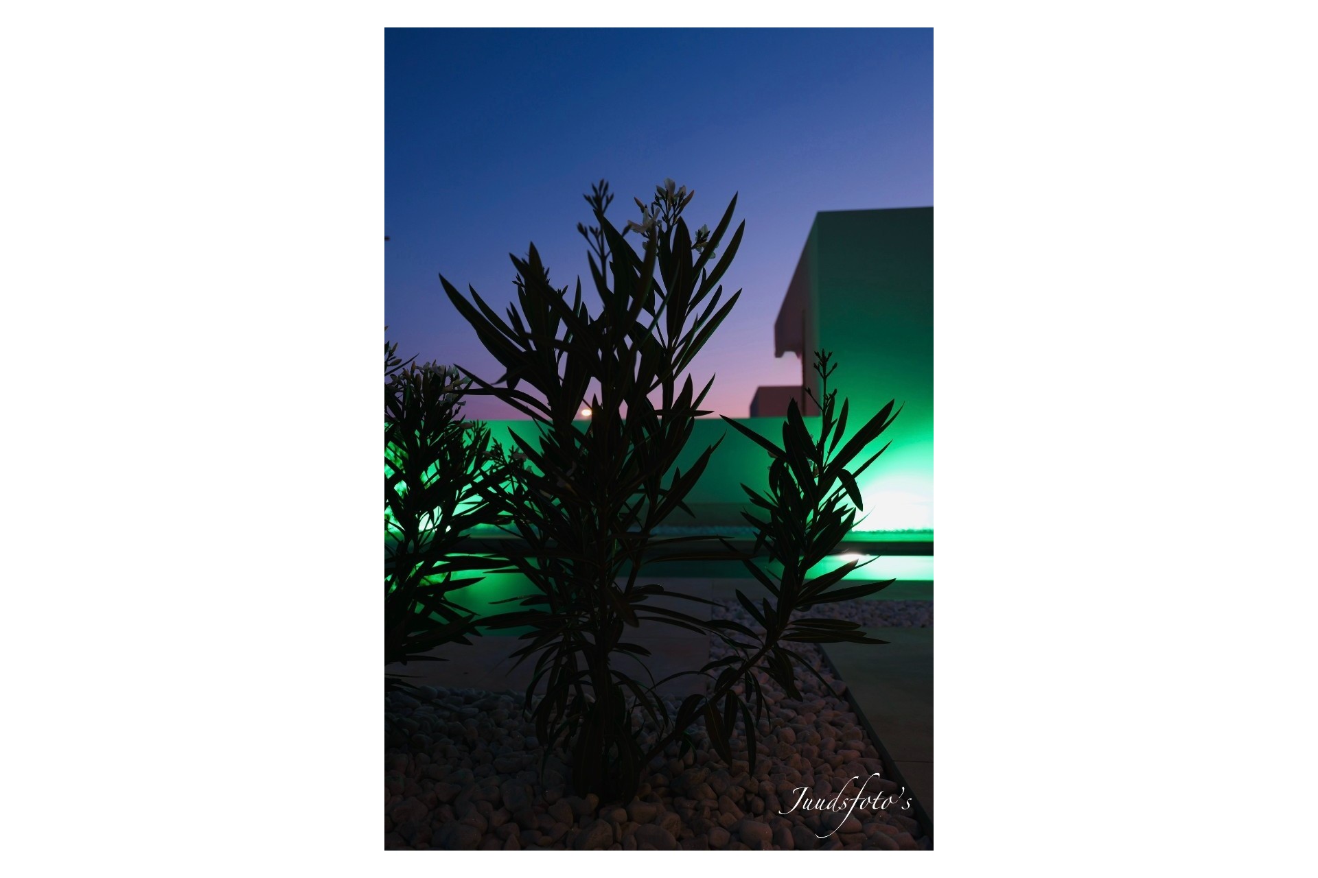 Sale - Villa -
Finestrat