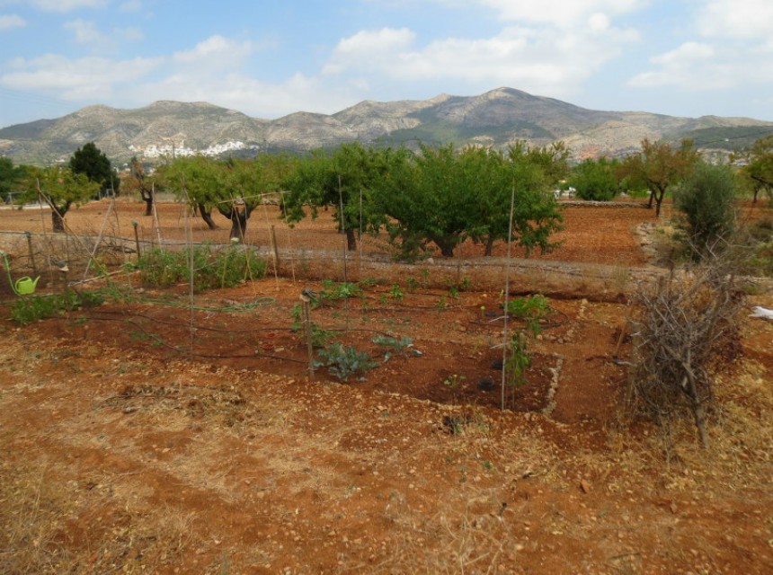 Sale - Villa -
Jalon