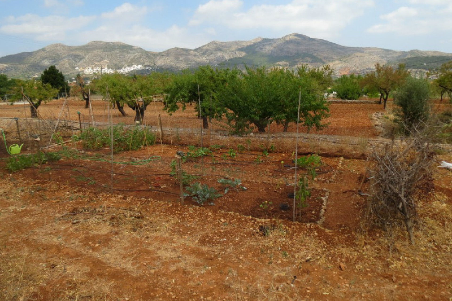 Sale - Villa -
Jalon