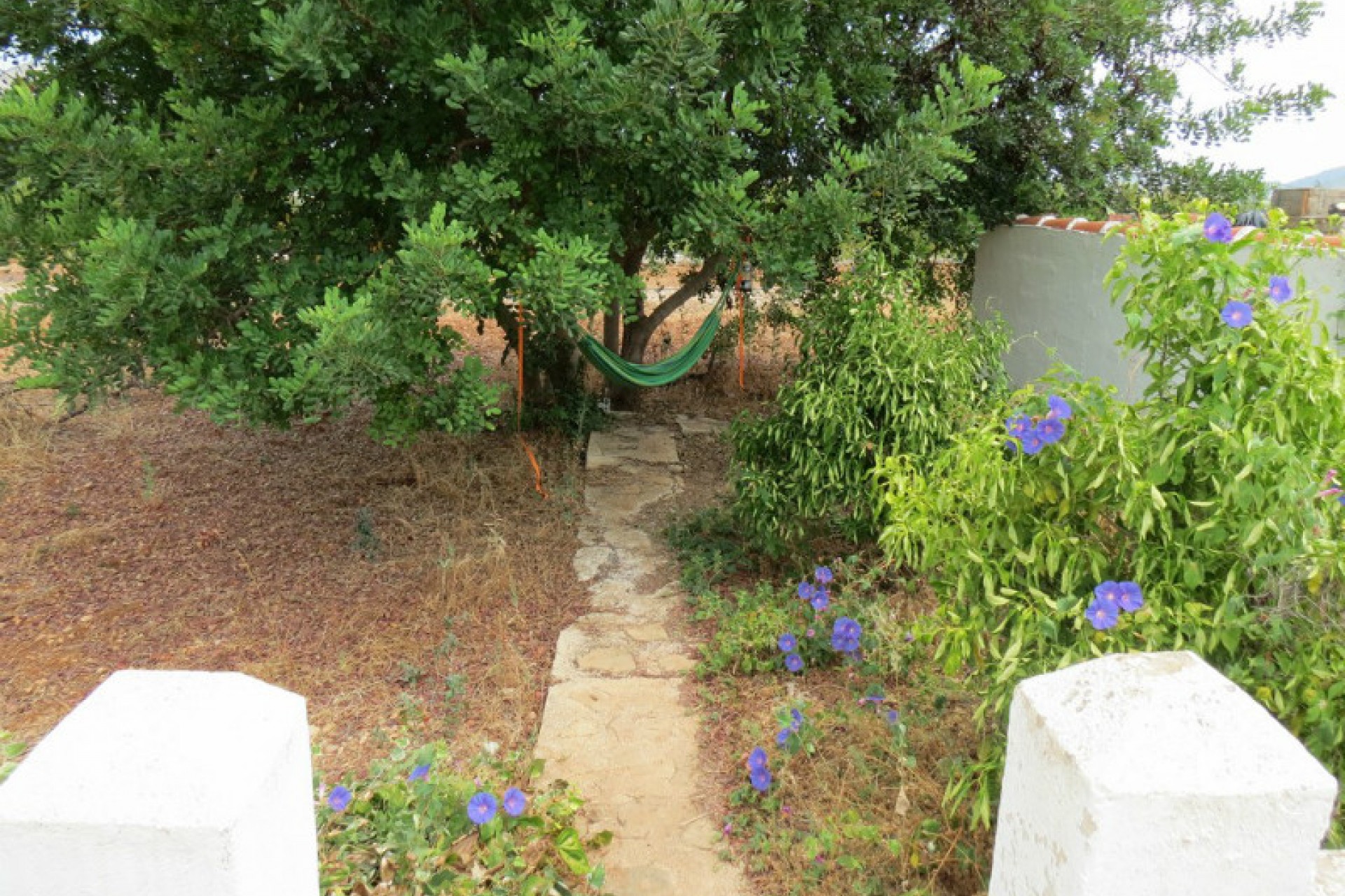 Sale - Villa -
Jalon