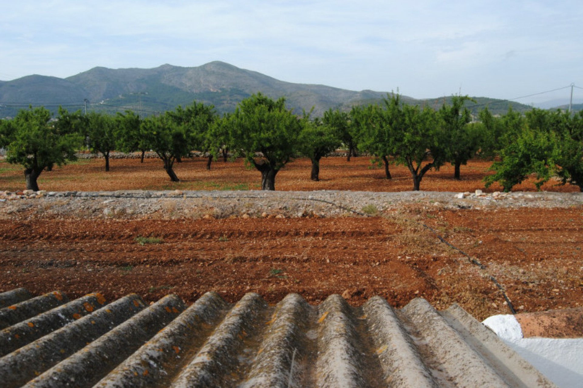 Sale - Villa -
Jalon