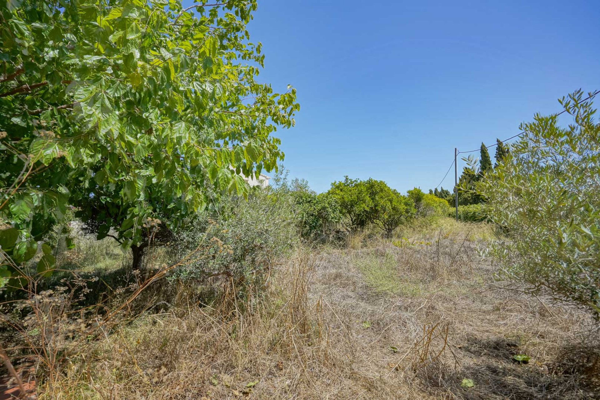 Sale - Villa -
Javea