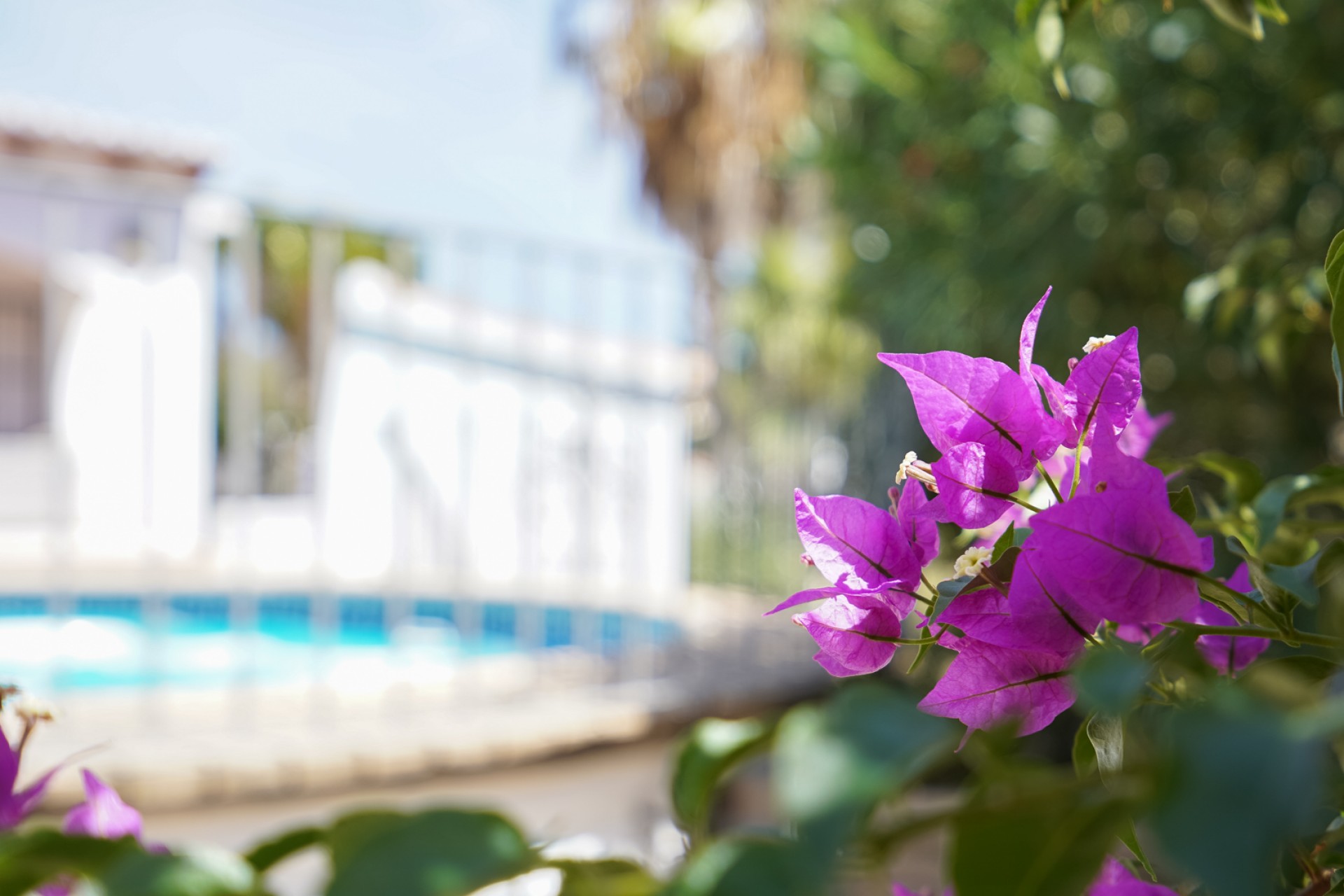 Sale - Villa -
Javea