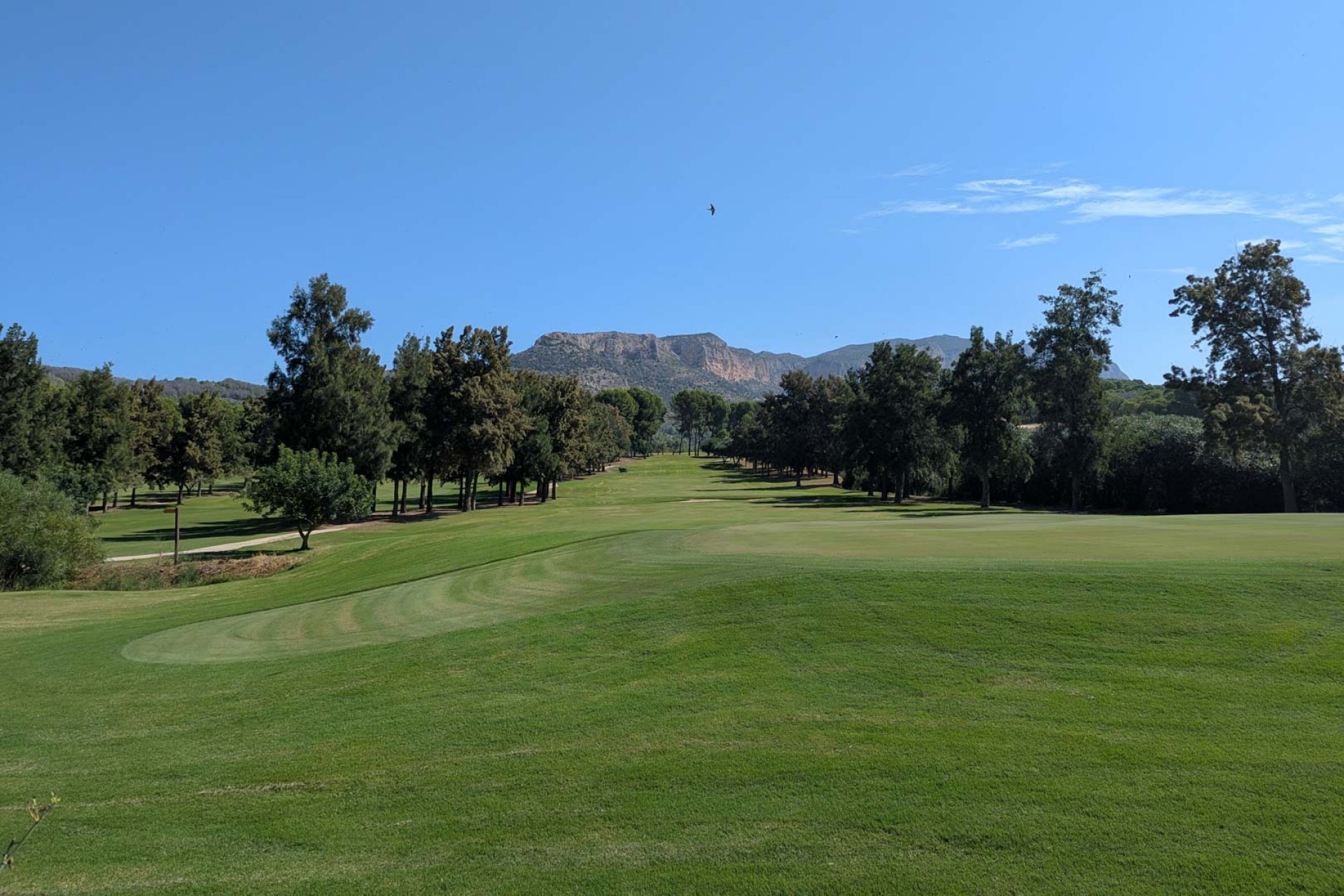 Sale - Villa -
Jesus Pobre