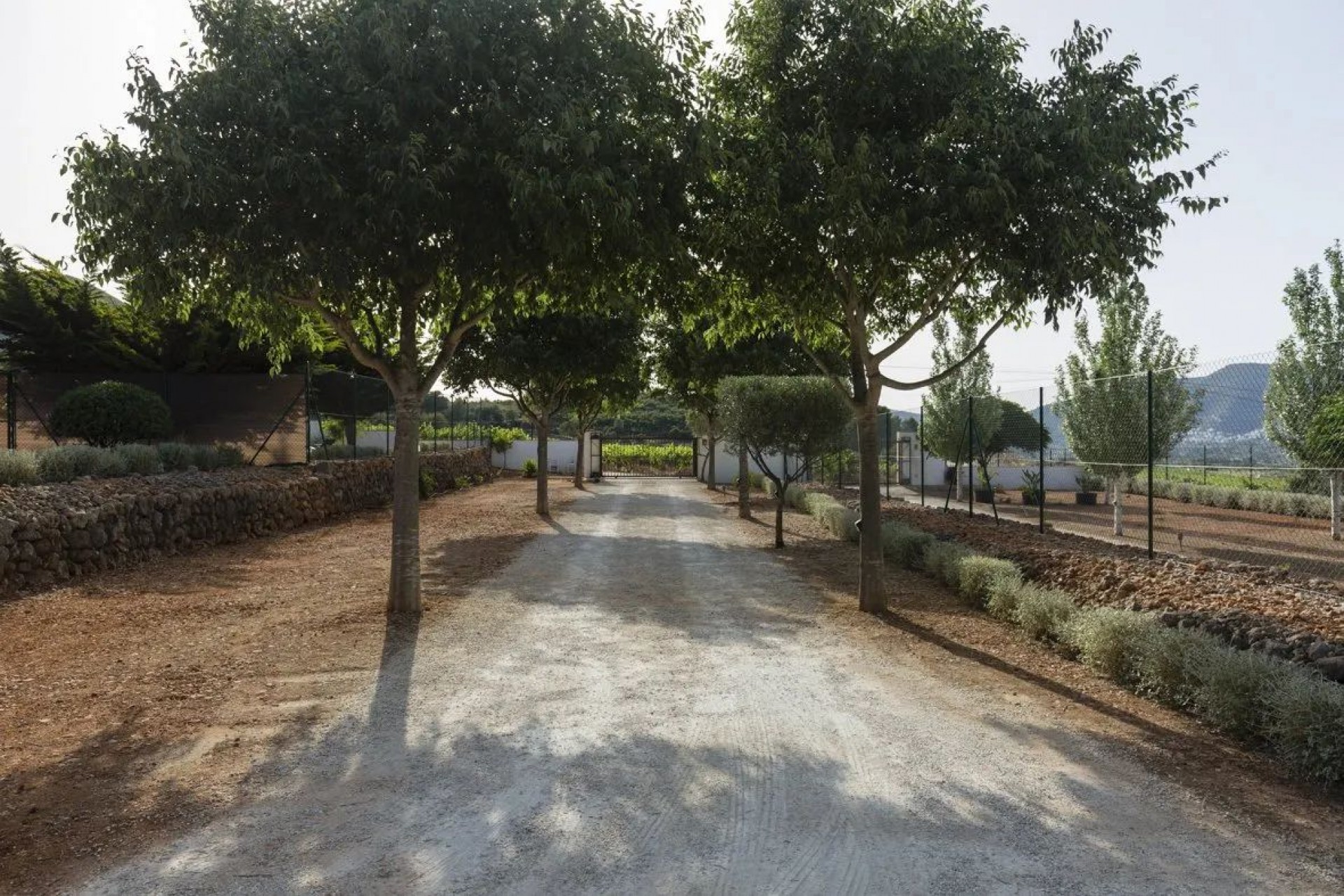 Sale - Villa -
Lliber