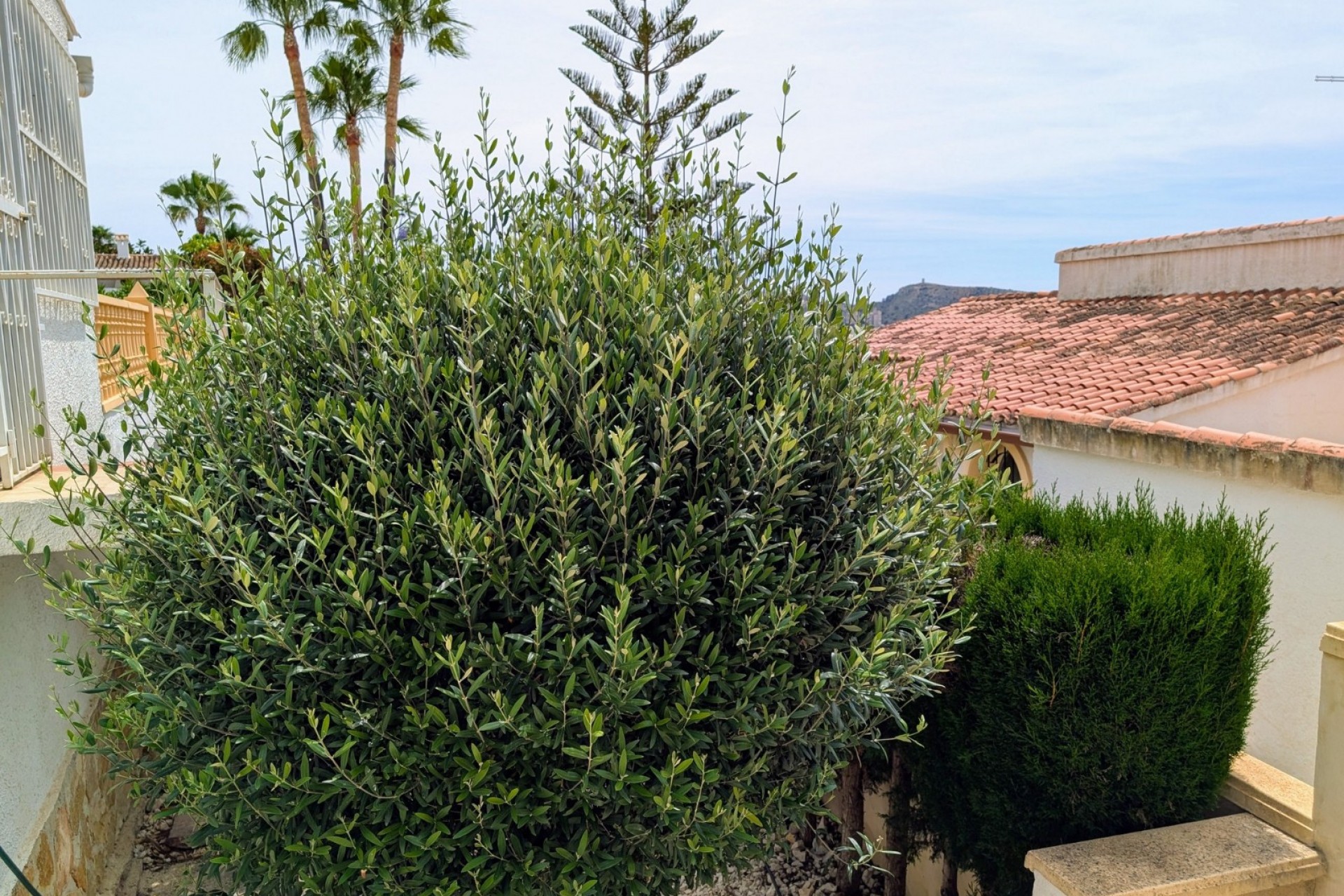 Sale - Villa -
Moraira - Pinar de l´Advocat