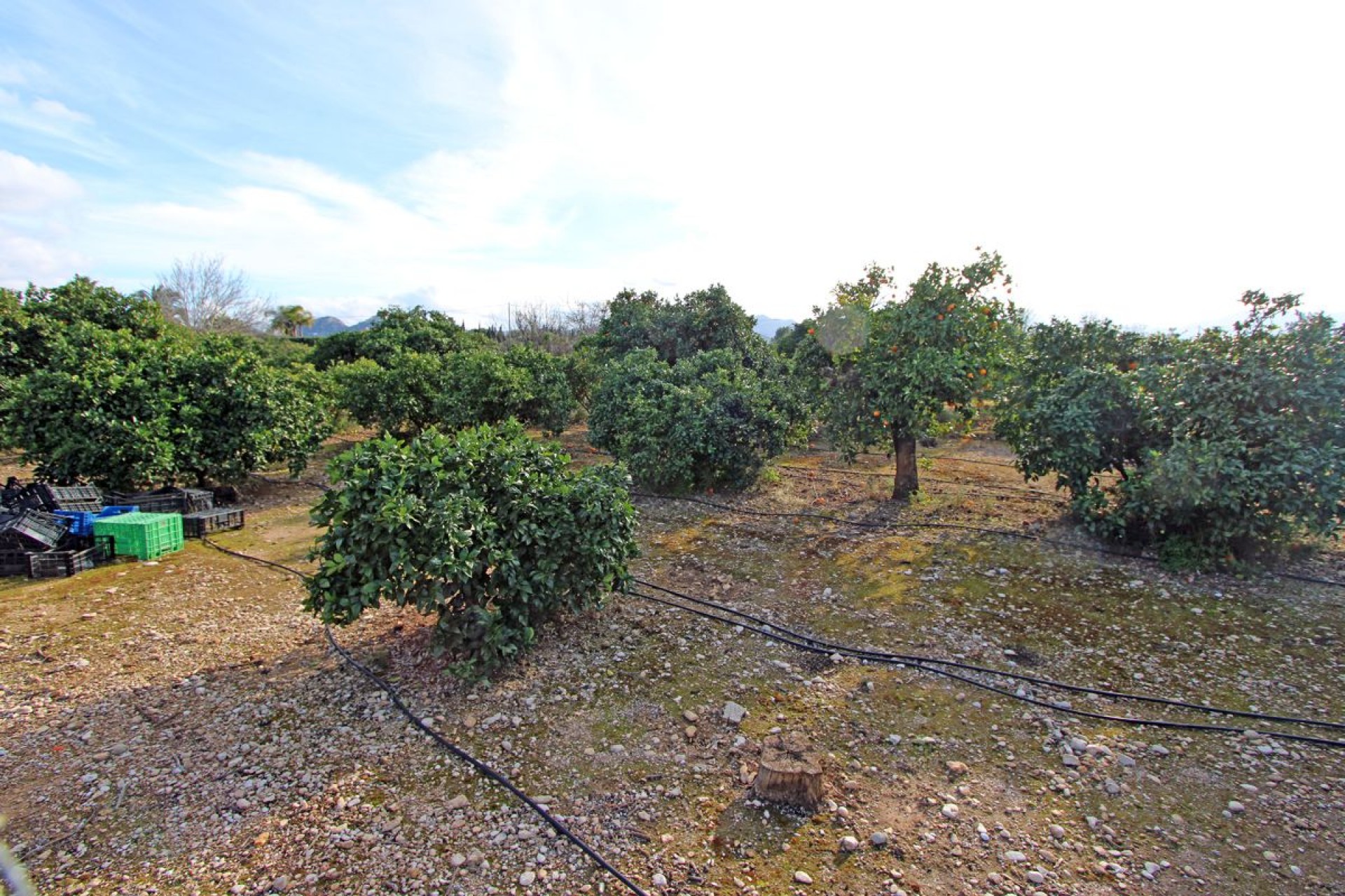 Sale - Villa -
Ondara