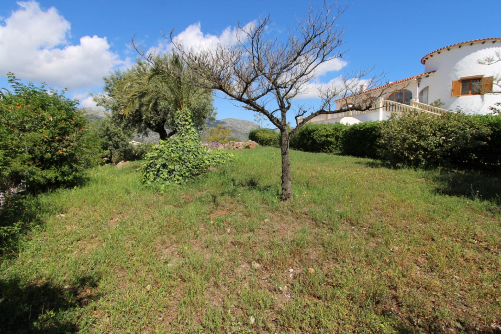 Sale - Villa -
Orba