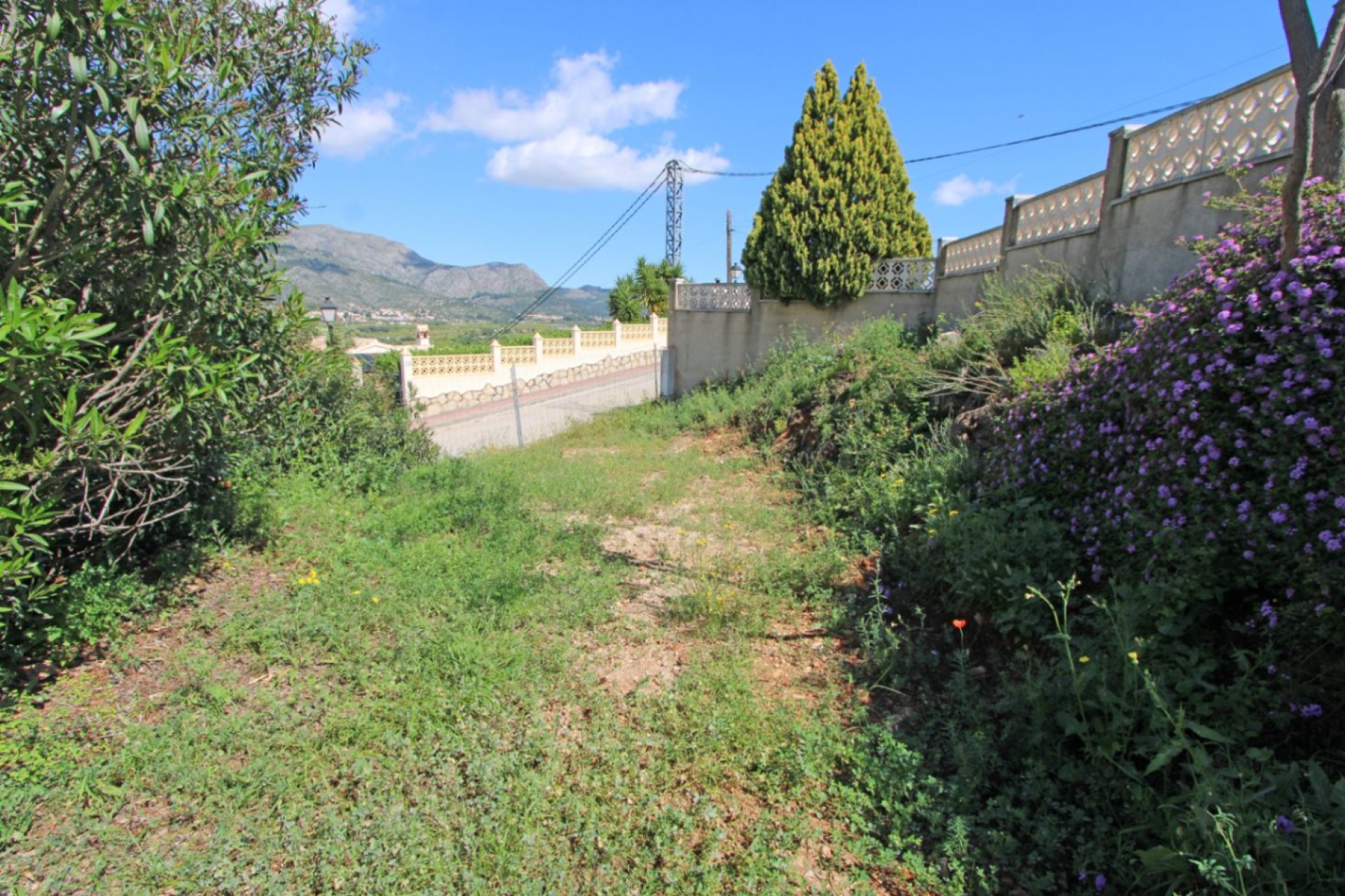 Sale - Villa -
Orba