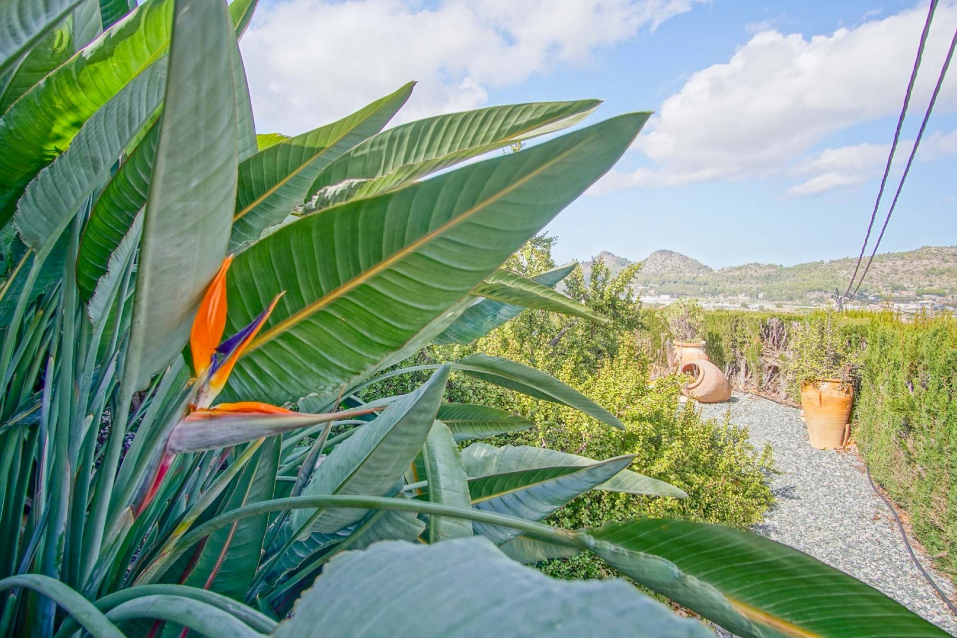 Sale - Villa -
Pedreguer