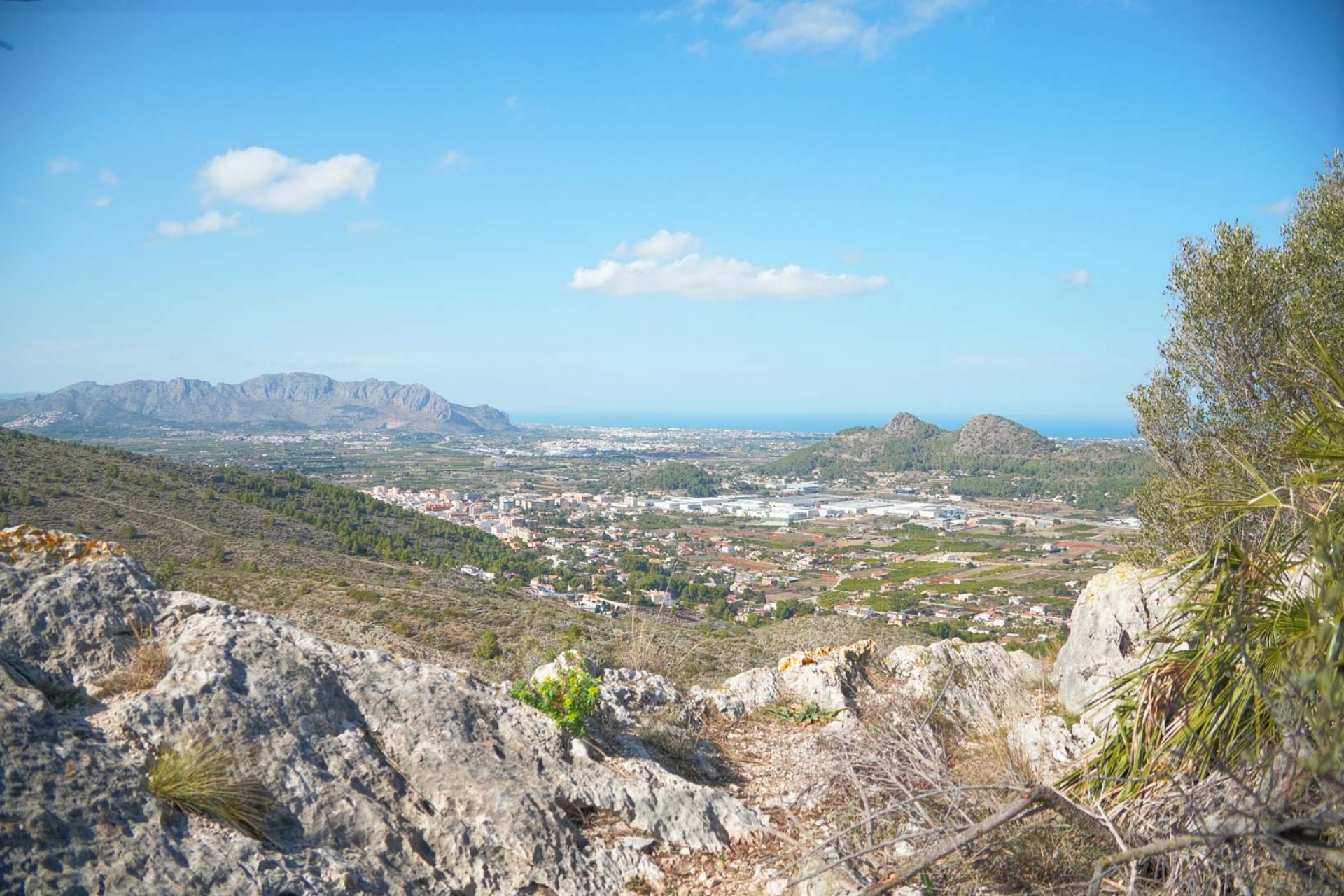 Sale - Villa -
Pedreguer