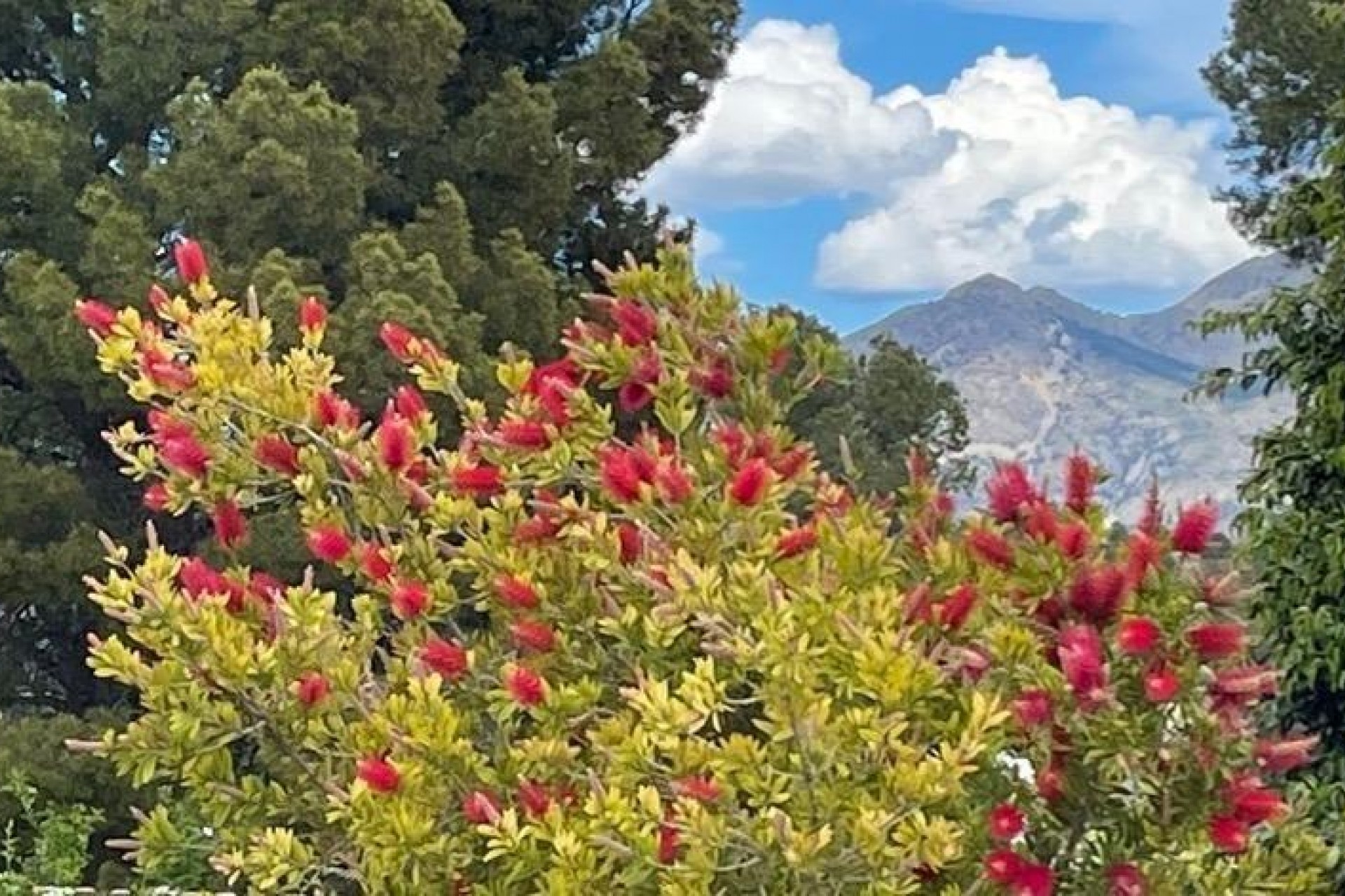 Sale - Villa -
Polop - Alberca