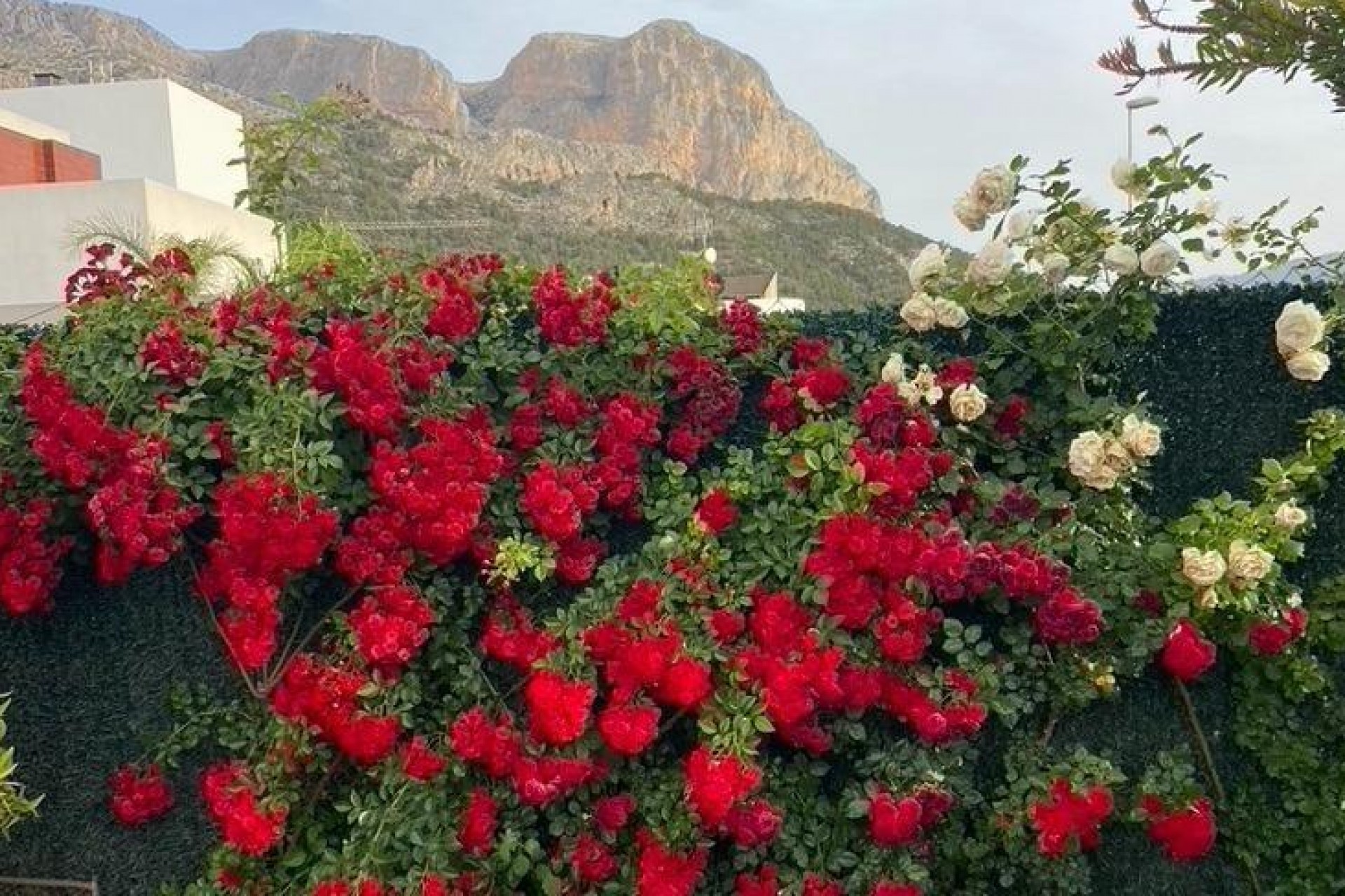 Sale - Villa -
Polop - Alberca