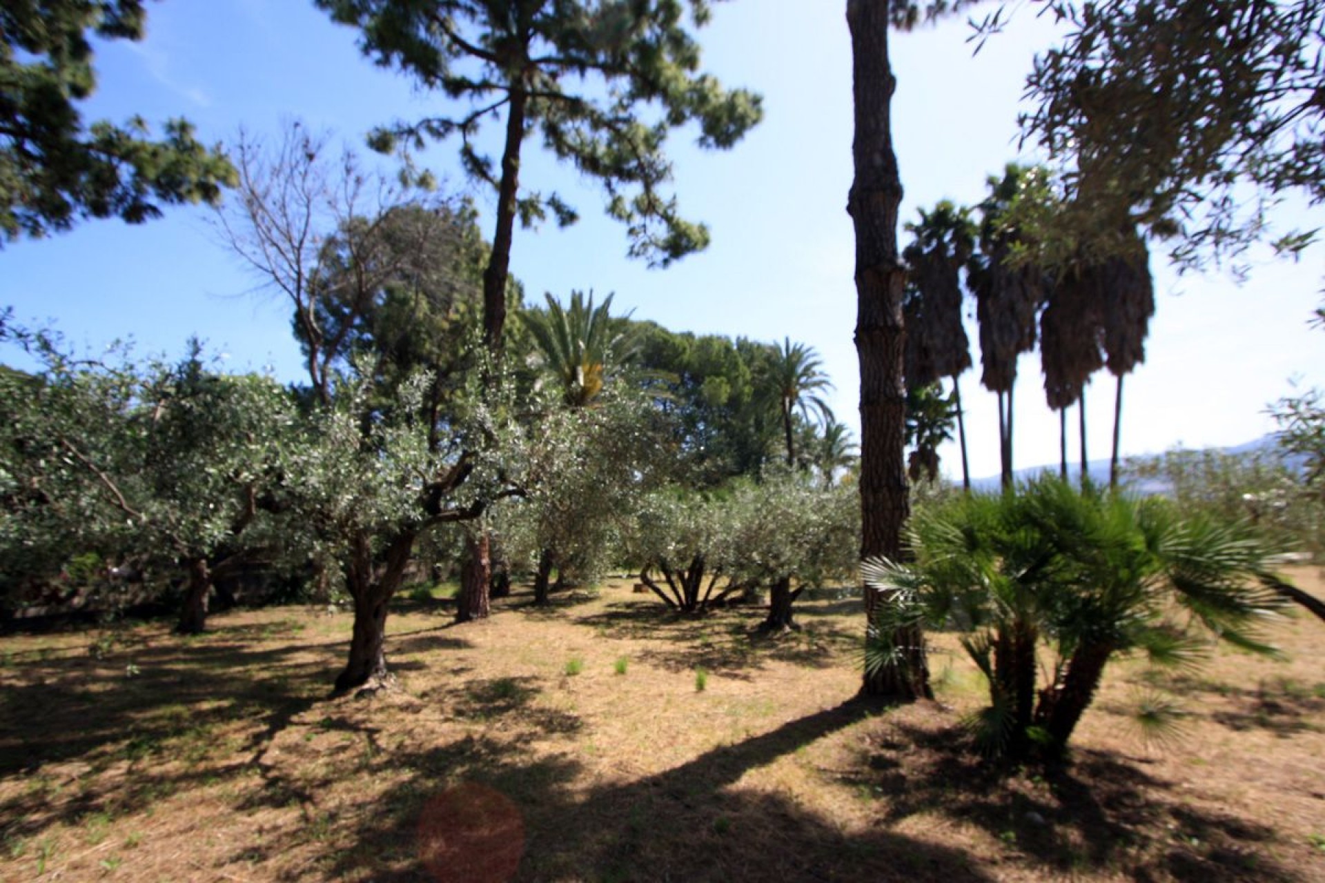 Sale - Villa -
Sagra - Casco urbano