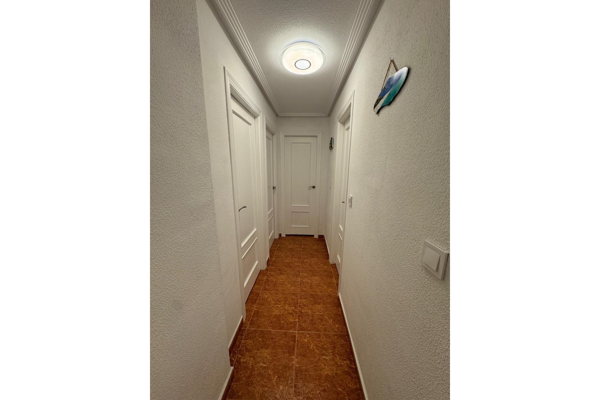 Te koop - Apartamento -
Torrevieja - Centro