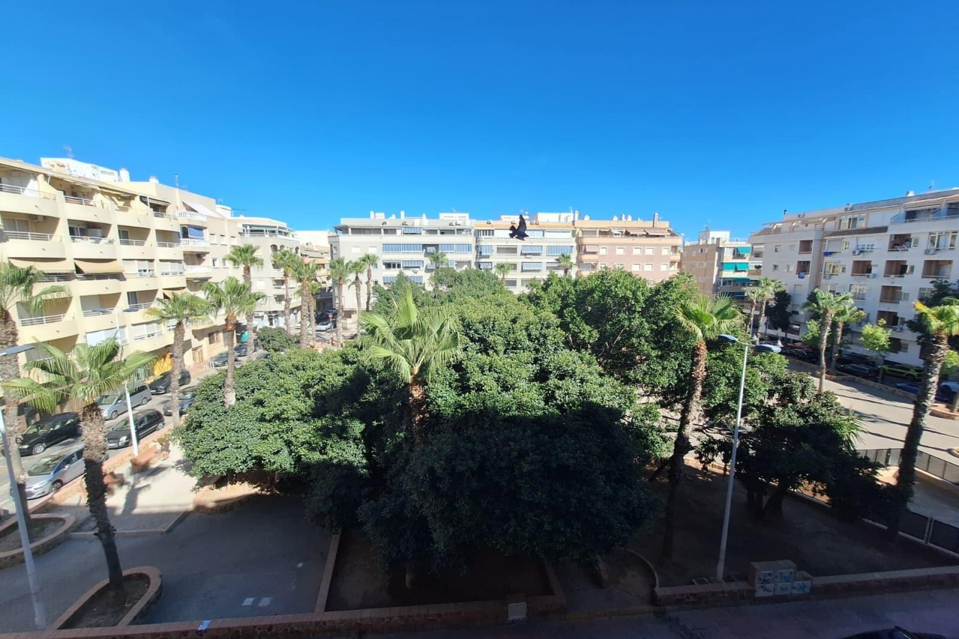 Te koop - Apartamento -
Torrevieja - Playa del cura