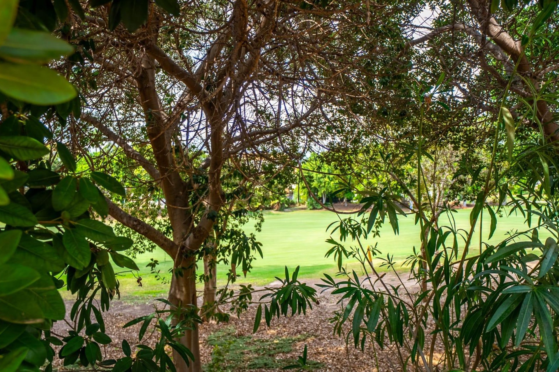 Te koop - Appartement -
Alicante - Alicante Golf