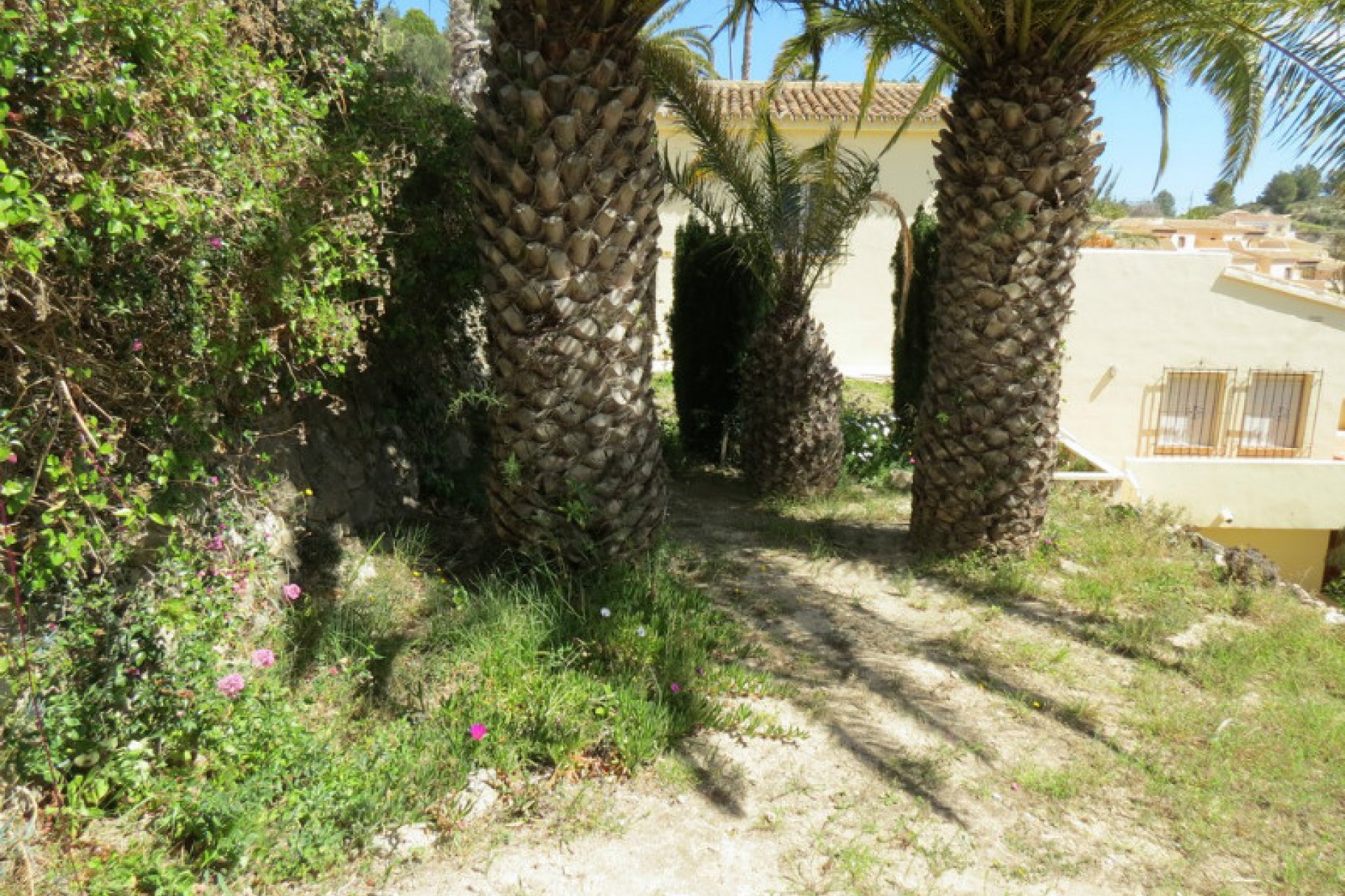 Te koop - Appartement -
Teulada